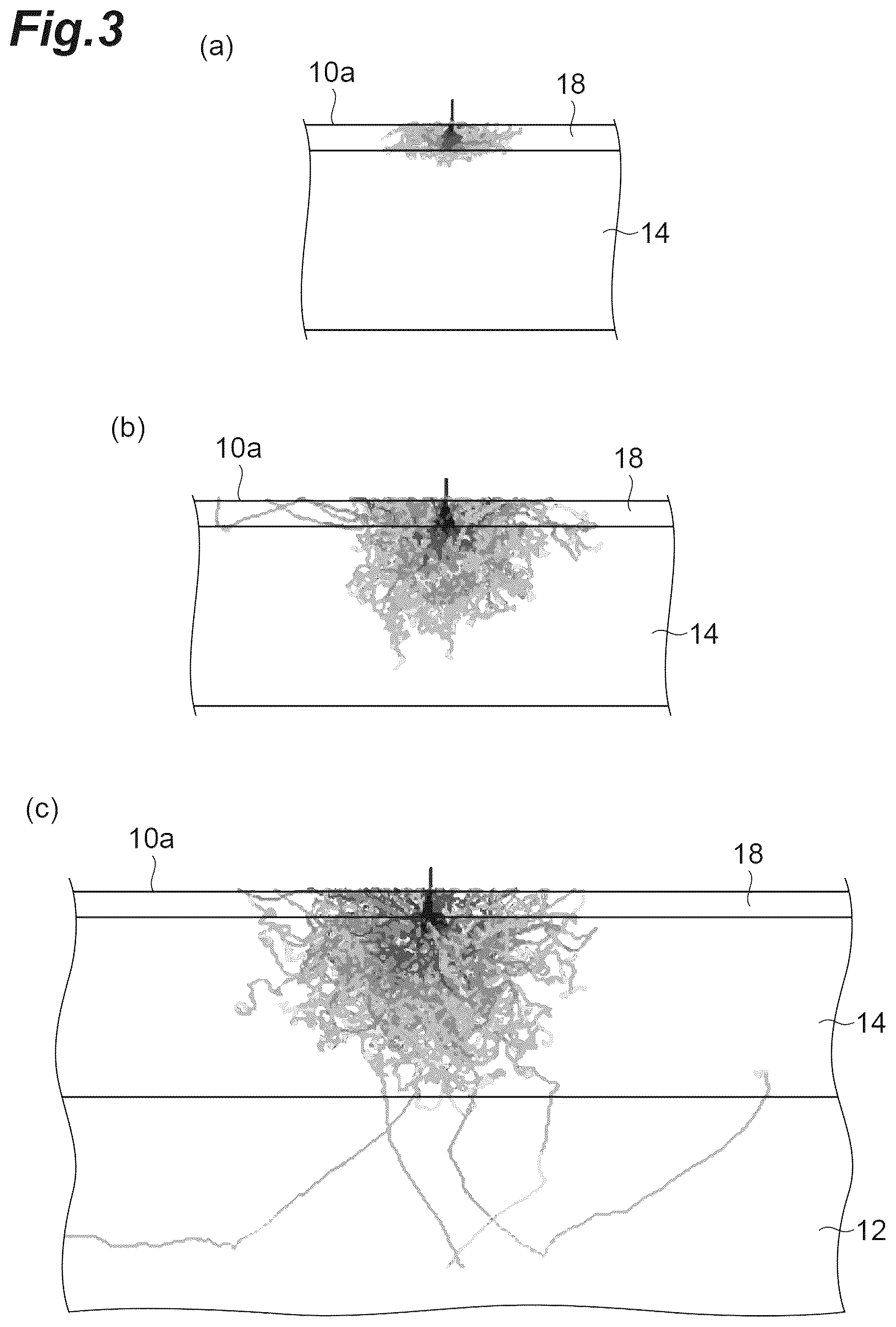 Patent US12437964 Figure 3 – Light-emitting body, electron beam detector, and scanning electron microscope