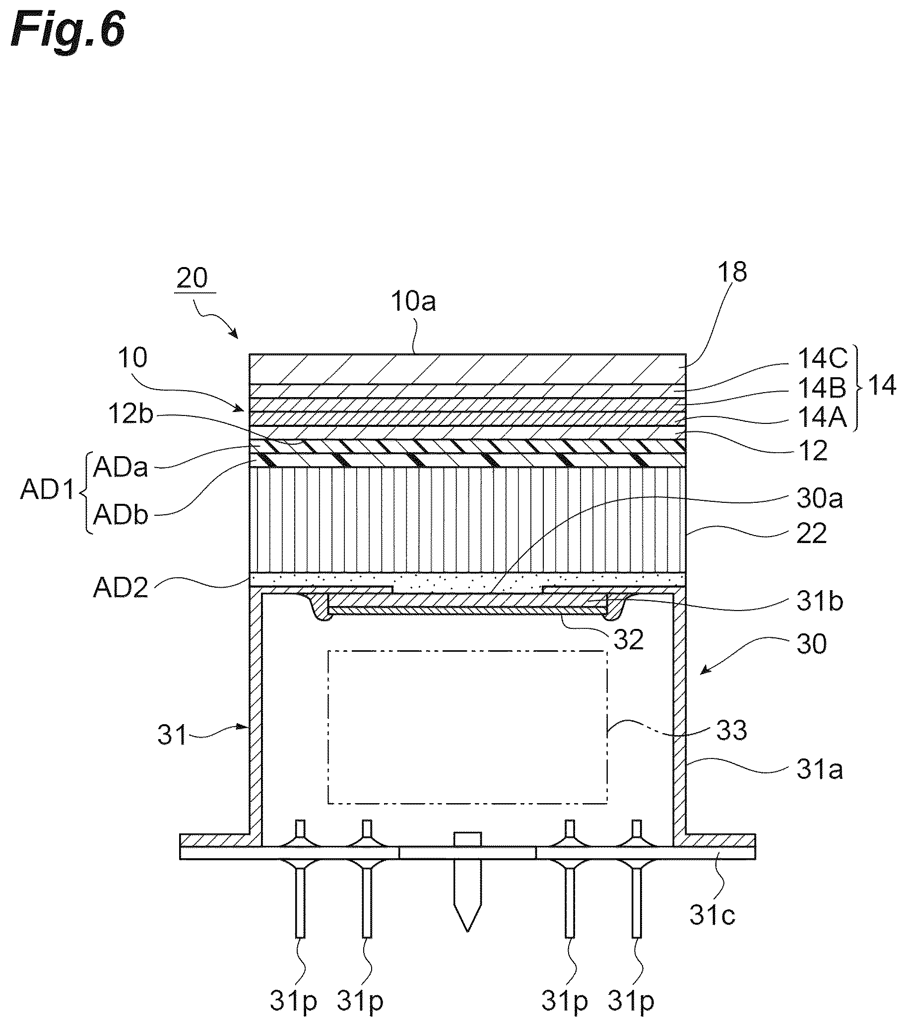 Patent US12437964 Figure 6 – Light-emitting body, electron beam detector, and scanning electron microscope