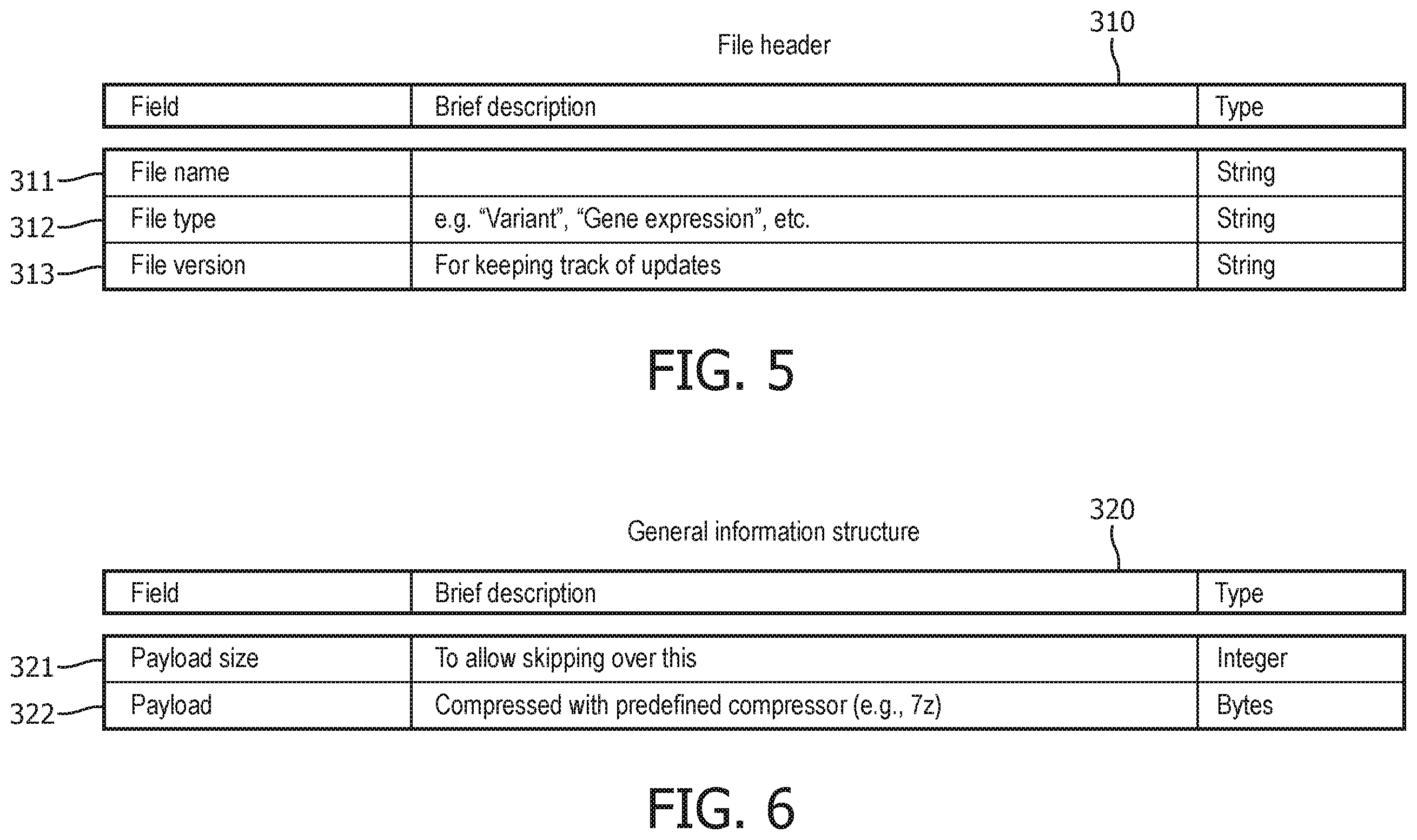 Patent US12445148 Figure 5 – System and method for effective compression representation and decompression of diverse tabulated data