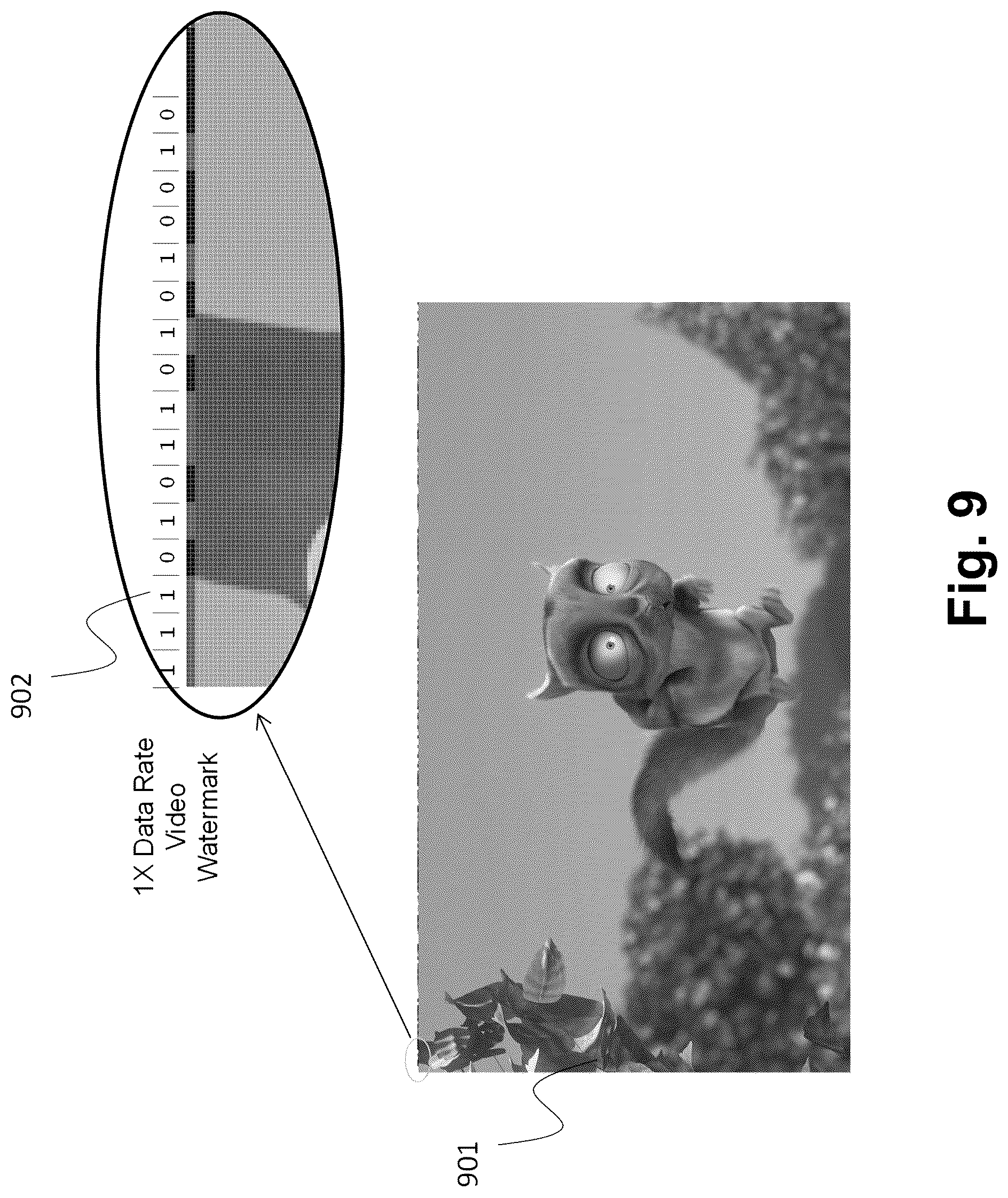Patent US12445678 Figure 9 – Dynamic content serving using automated content recognition (ACR) and digital media watermarks