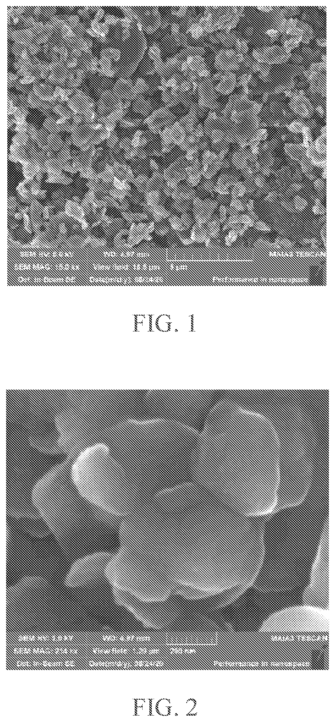 Patent US12448289 Figure 1 – Method of nitrogen-phosphorus doped porous carbon for oxygen reduction electrocatalysis within a wide PH range