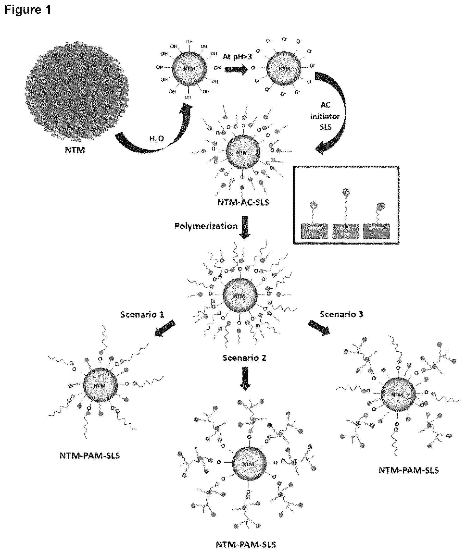 Patent US12448308 — Enhanced settling and dewatering of oil sands mature fine tailings with titanomagnetite nanoparticles grafted with polyacrylamide and lauryl sulfate — Figure 1