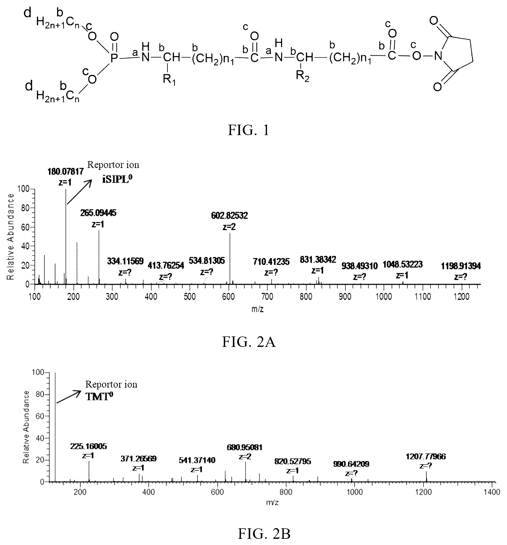 Patent US12448340 Figure 1 – Isobaric stable isotope-containing phosphorylated protein labeling reagent, and preparation method and application thereof