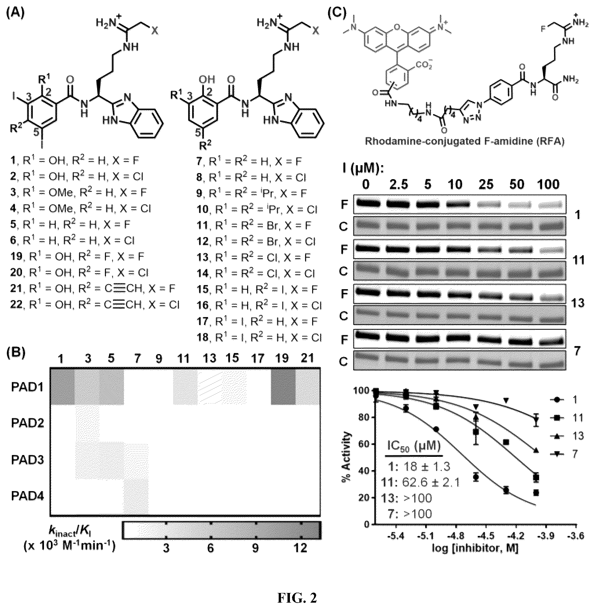 Patent US12448358 Figure 2 – Inhibitors of protein arginine deiminase 1 and methods of preparation and use thereof