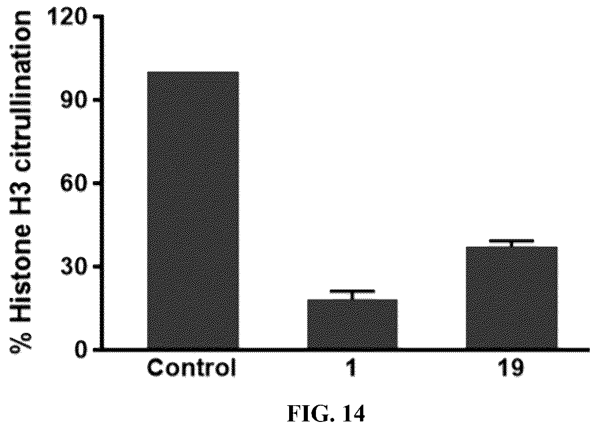 Patent US12448358 Figure 18 – Inhibitors of protein arginine deiminase 1 and methods of preparation and use thereof