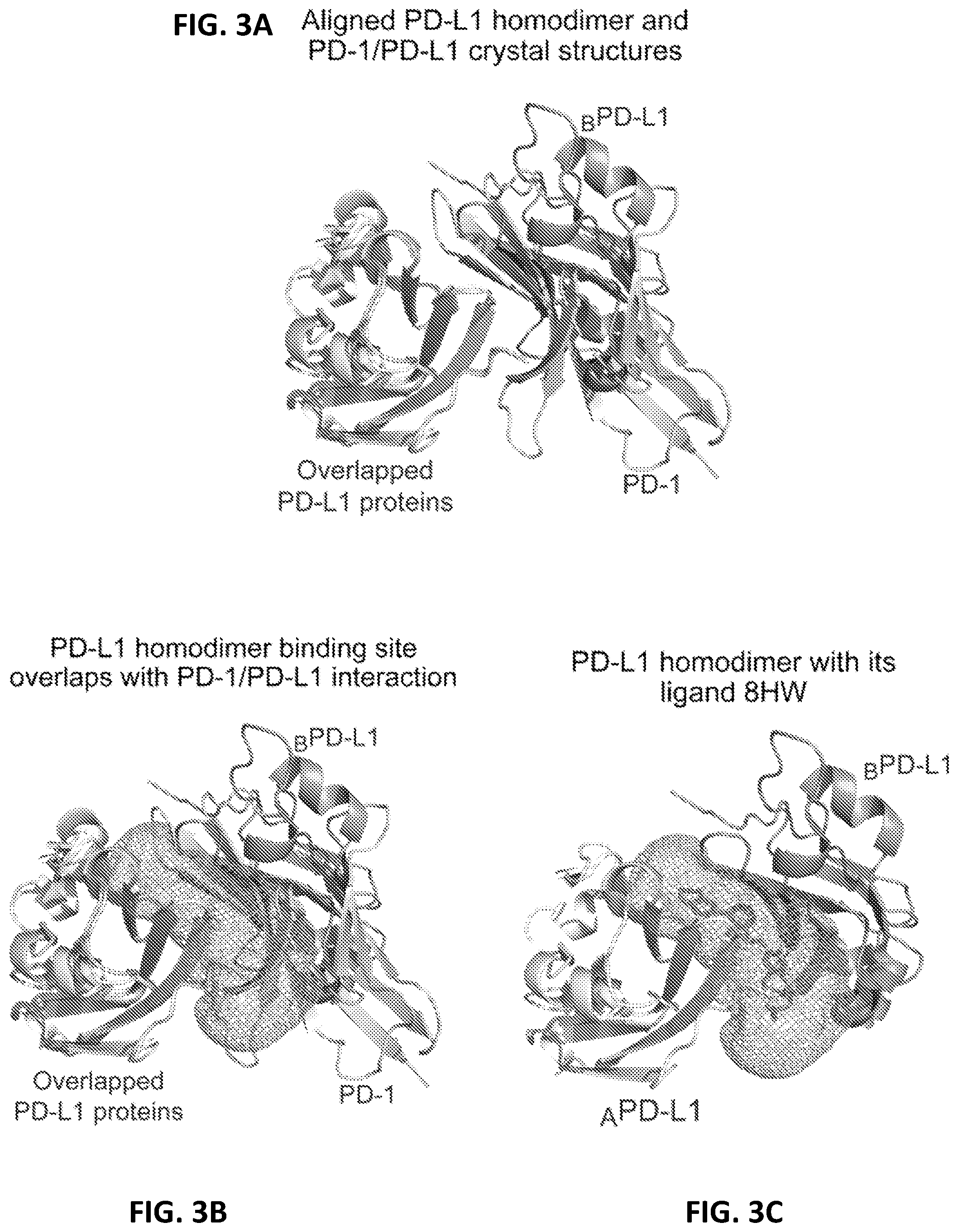 Patent US12448359 Figure 4 – Compounds with immunomodulatory activity and therapeutic uses thereof