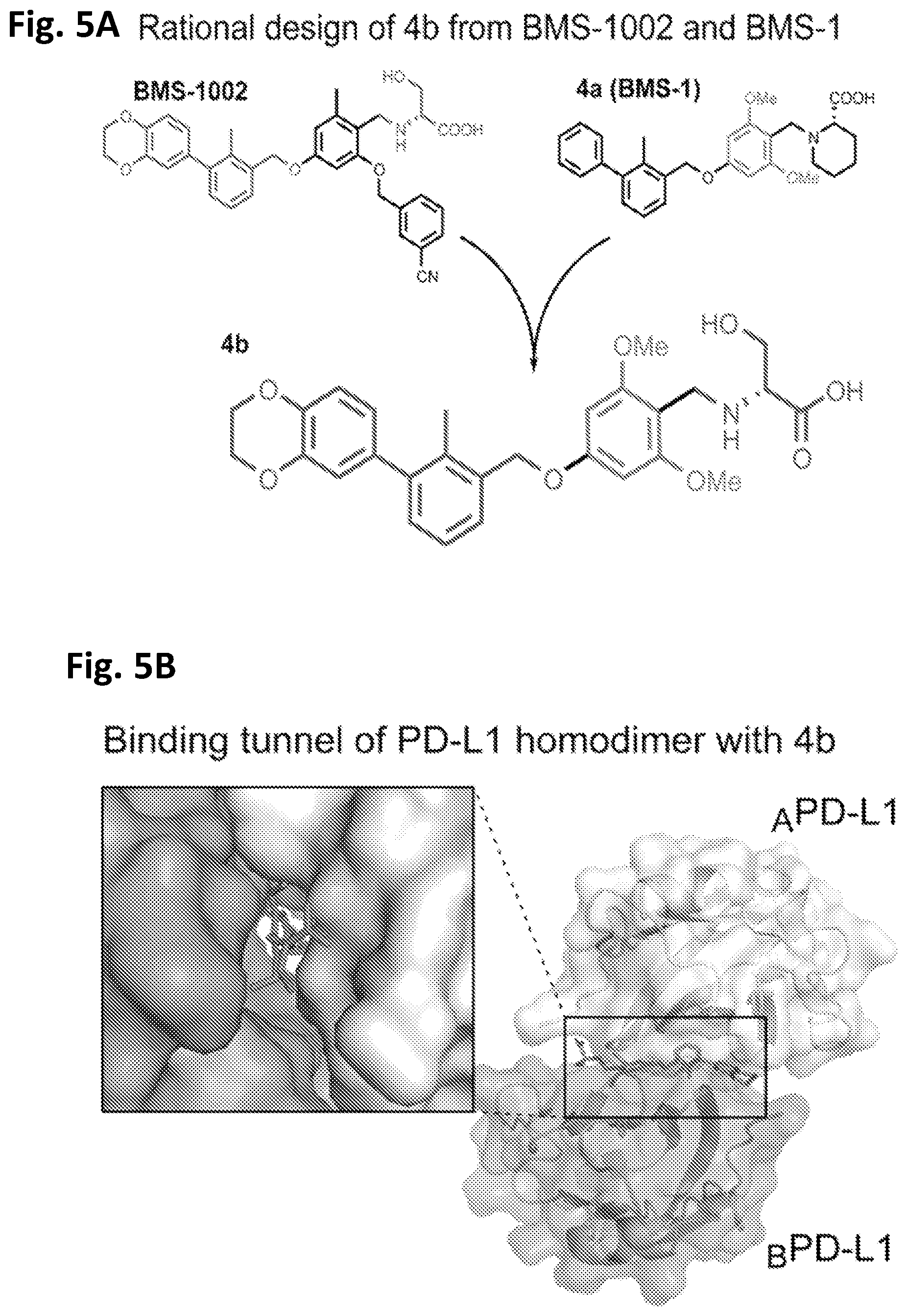 Patent US12448359 Figure 7 – Compounds with immunomodulatory activity and therapeutic uses thereof