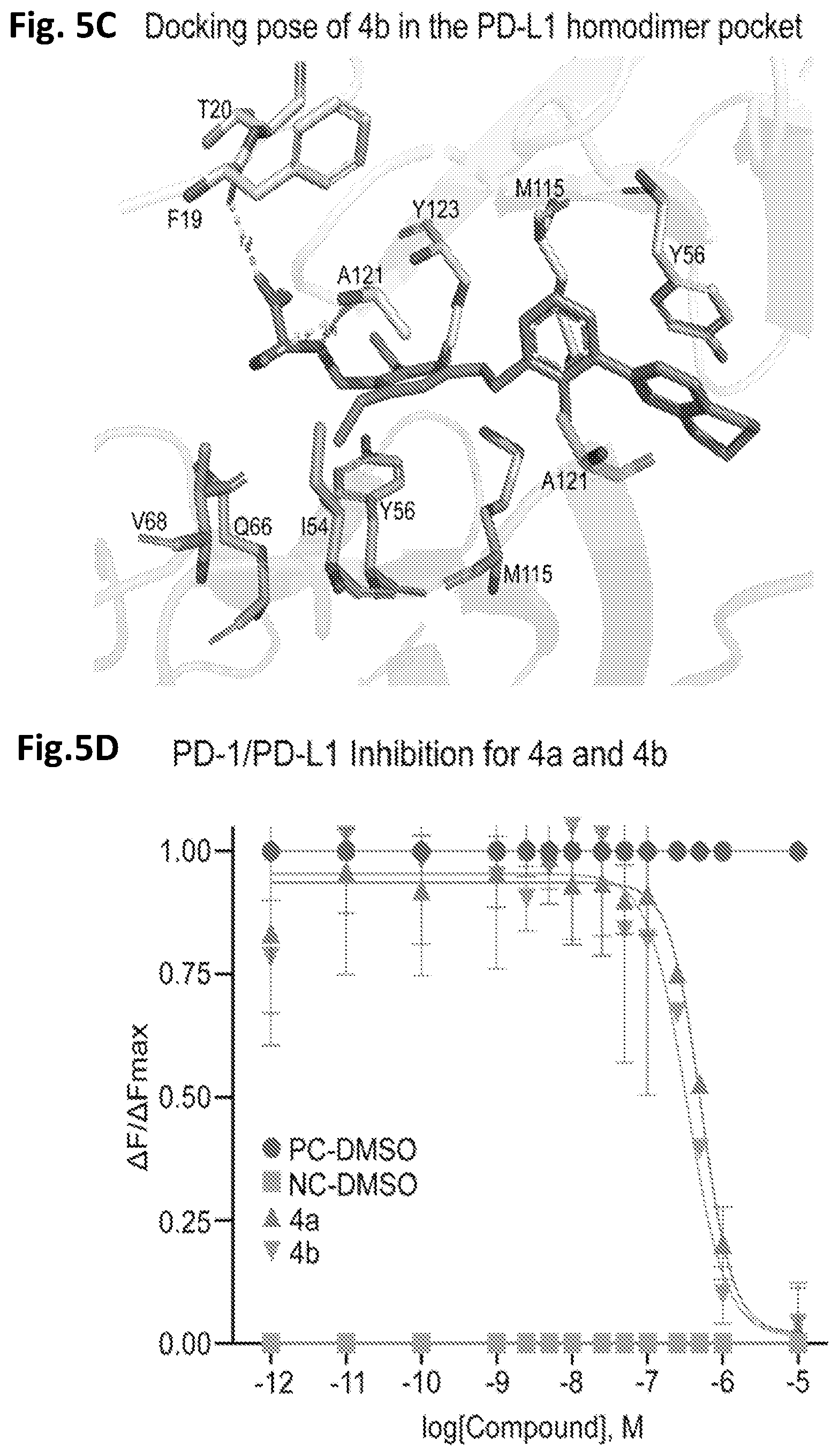 Patent US12448359 Figure 8 – Compounds with immunomodulatory activity and therapeutic uses thereof