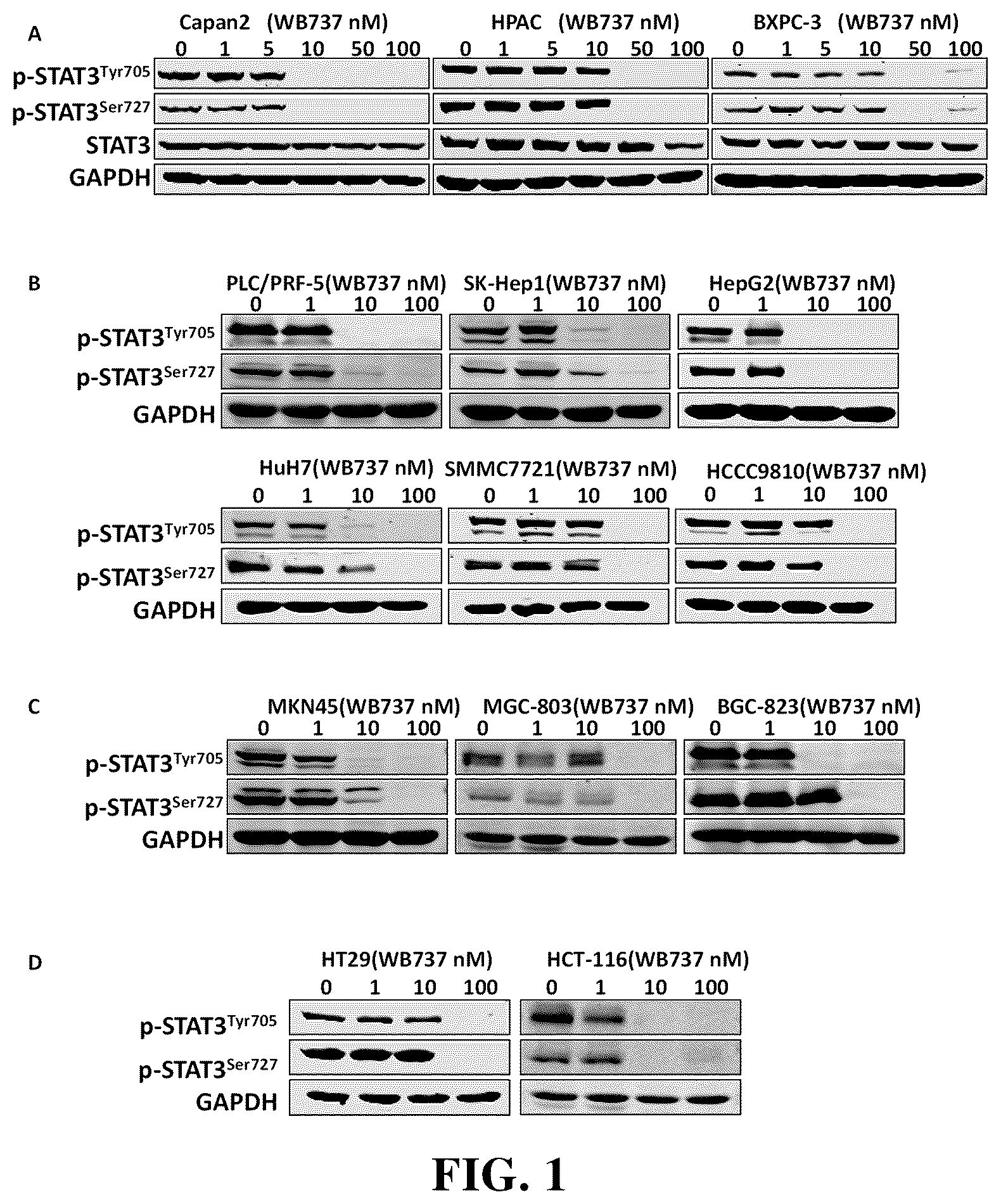 Patent US12448372 — Class of triaromatic compounds targeting bifunctional phosphorylation site of STAT3 and applications thereof — Figure 1