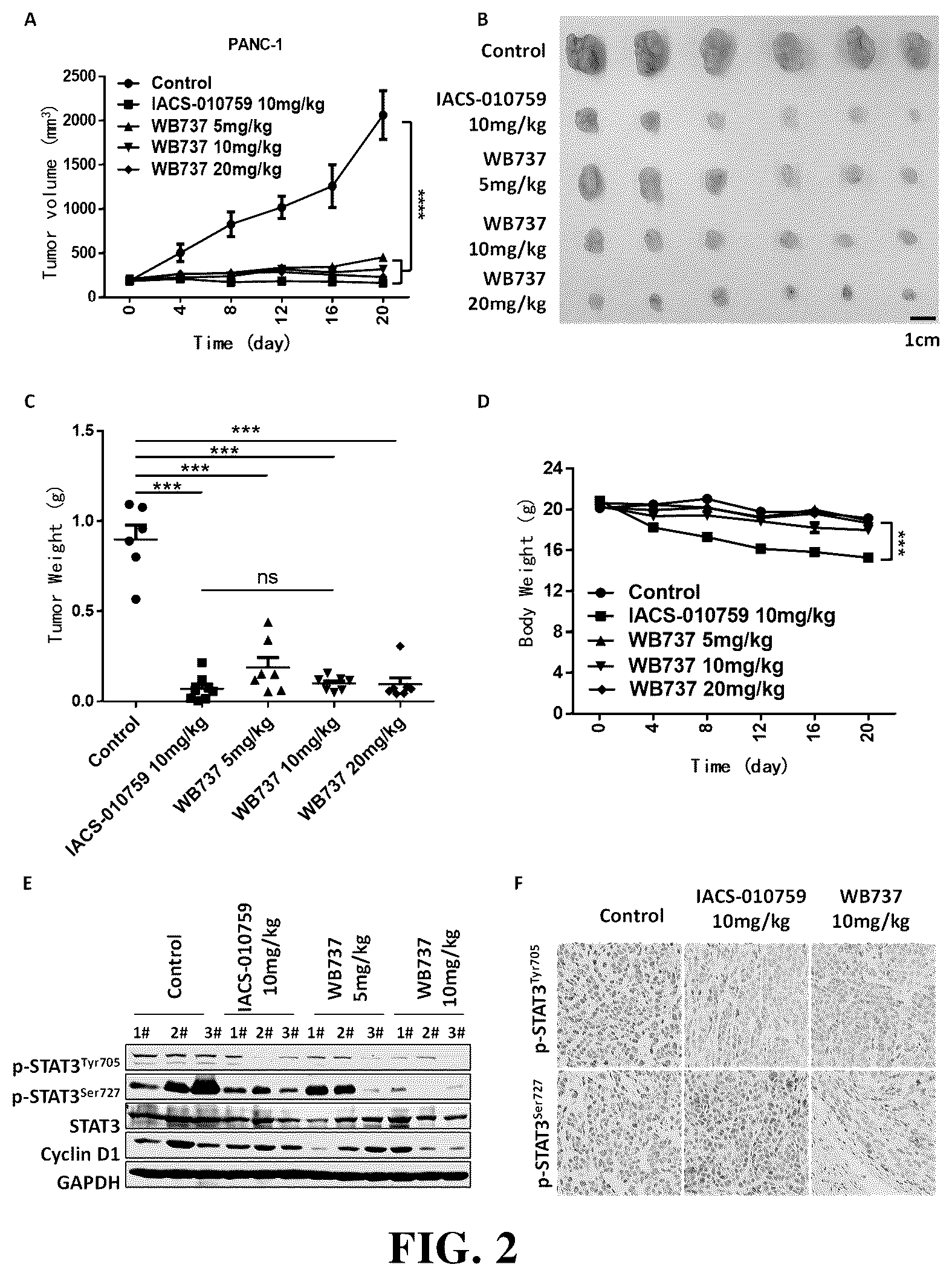 Patent US12448372 Figure 2 – Class of triaromatic compounds targeting bifunctional phosphorylation site of STAT3 and applications thereof
