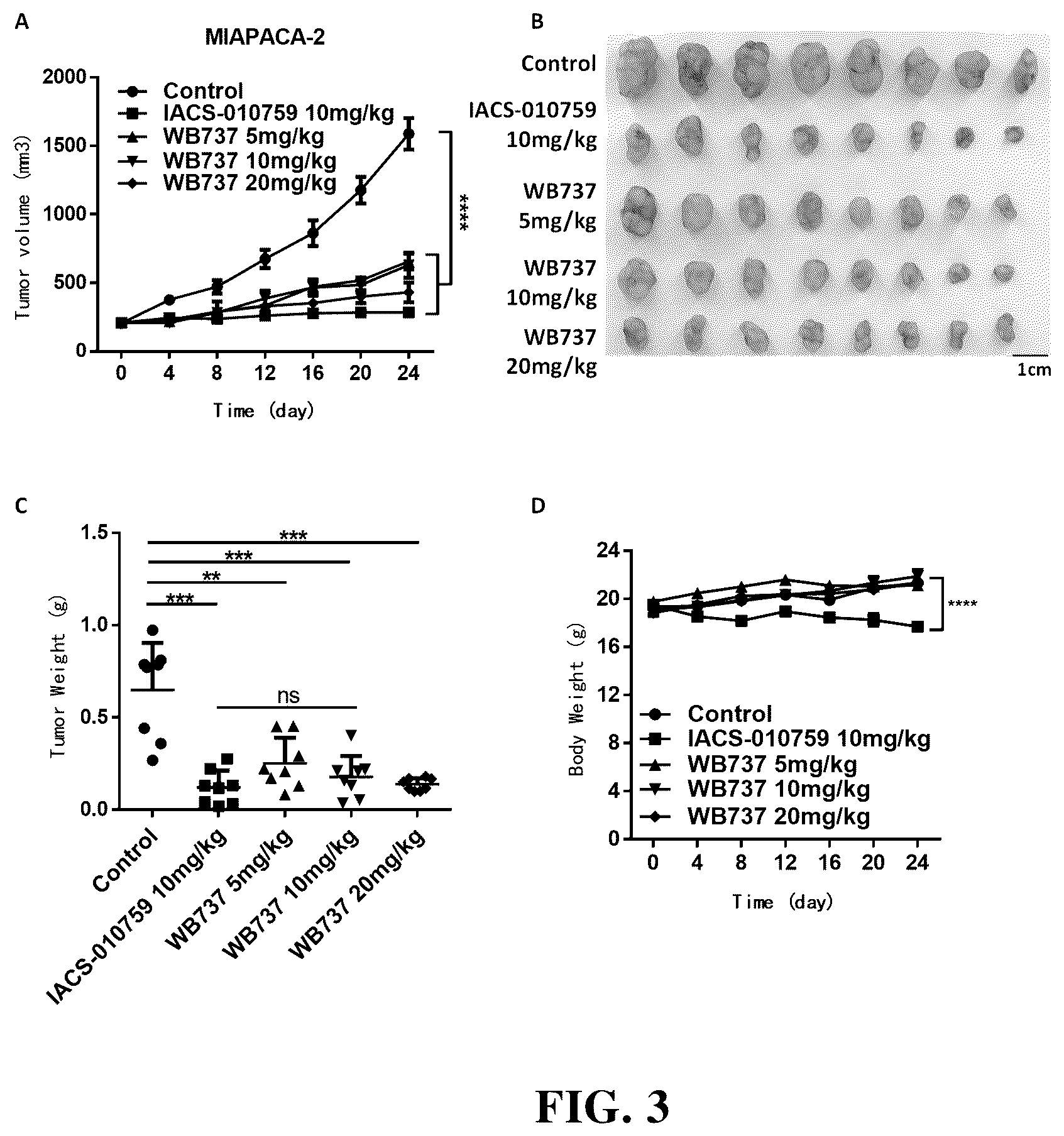 Patent US12448372 Figure 3 – Class of triaromatic compounds targeting bifunctional phosphorylation site of STAT3 and applications thereof