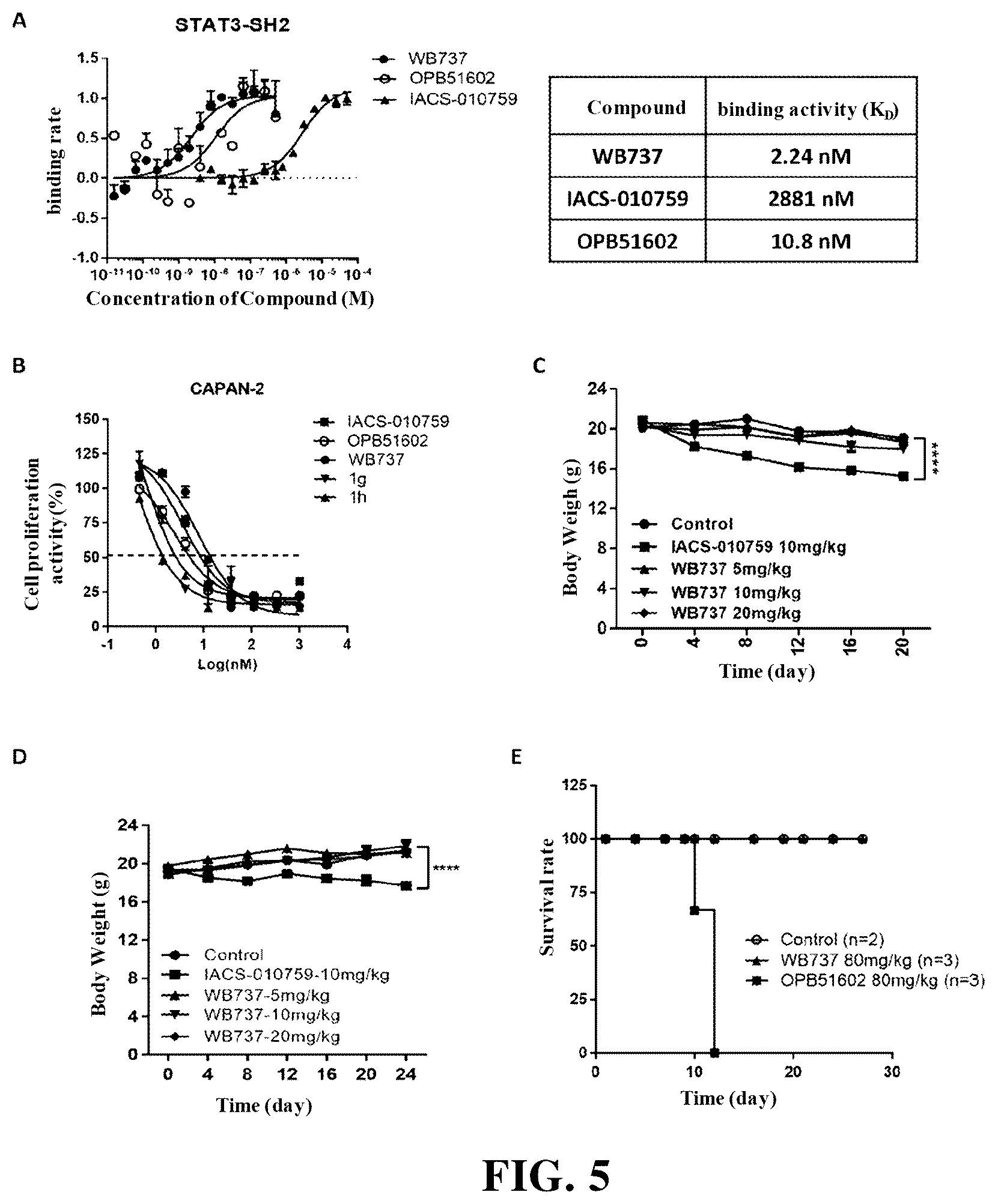 Patent US12448372 Figure 5 – Class of triaromatic compounds targeting bifunctional phosphorylation site of STAT3 and applications thereof