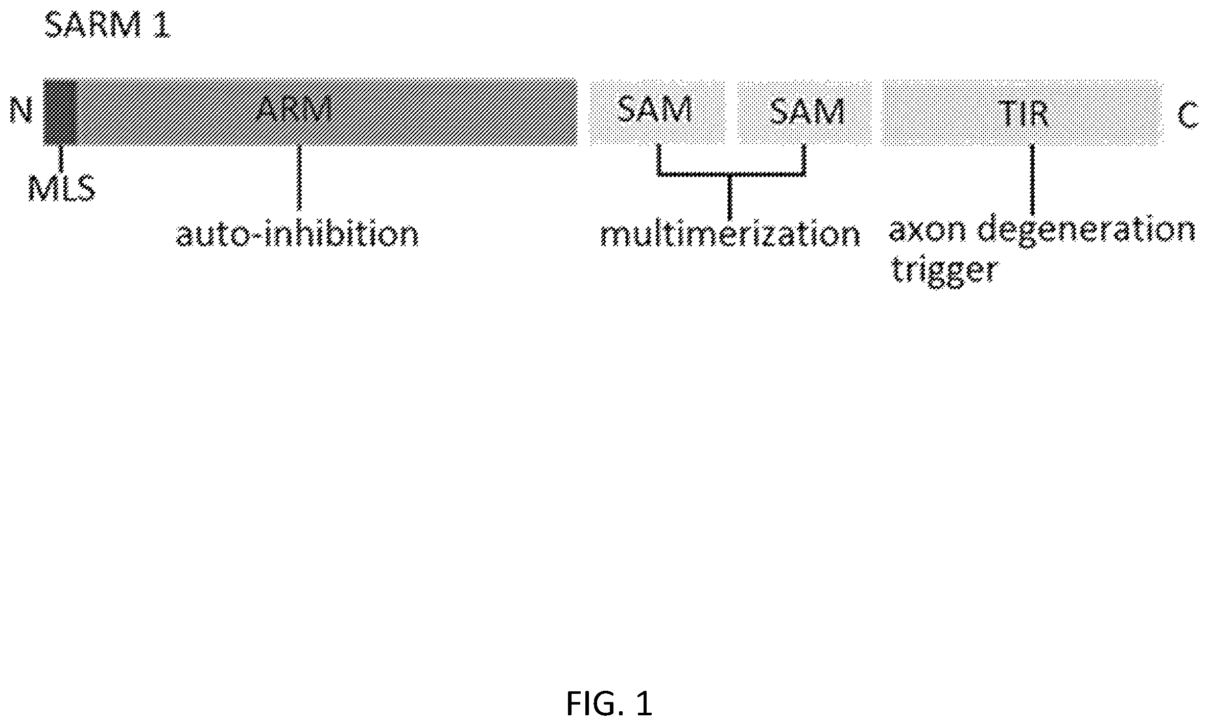 Patent US12448374 — Inhibitors of SARM1 — Figure 1