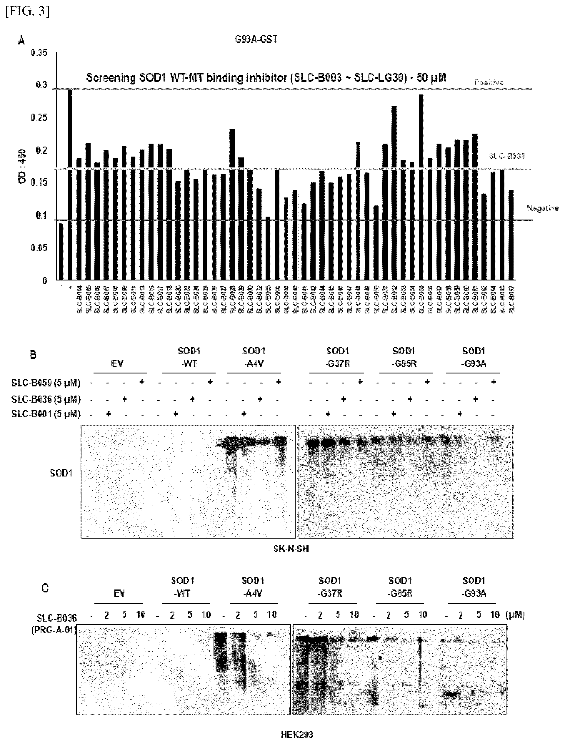 Patent US12448393 Figure 3 – Use of novel compound, for preventing, improving or treating amyotrophic lateral sclerosis