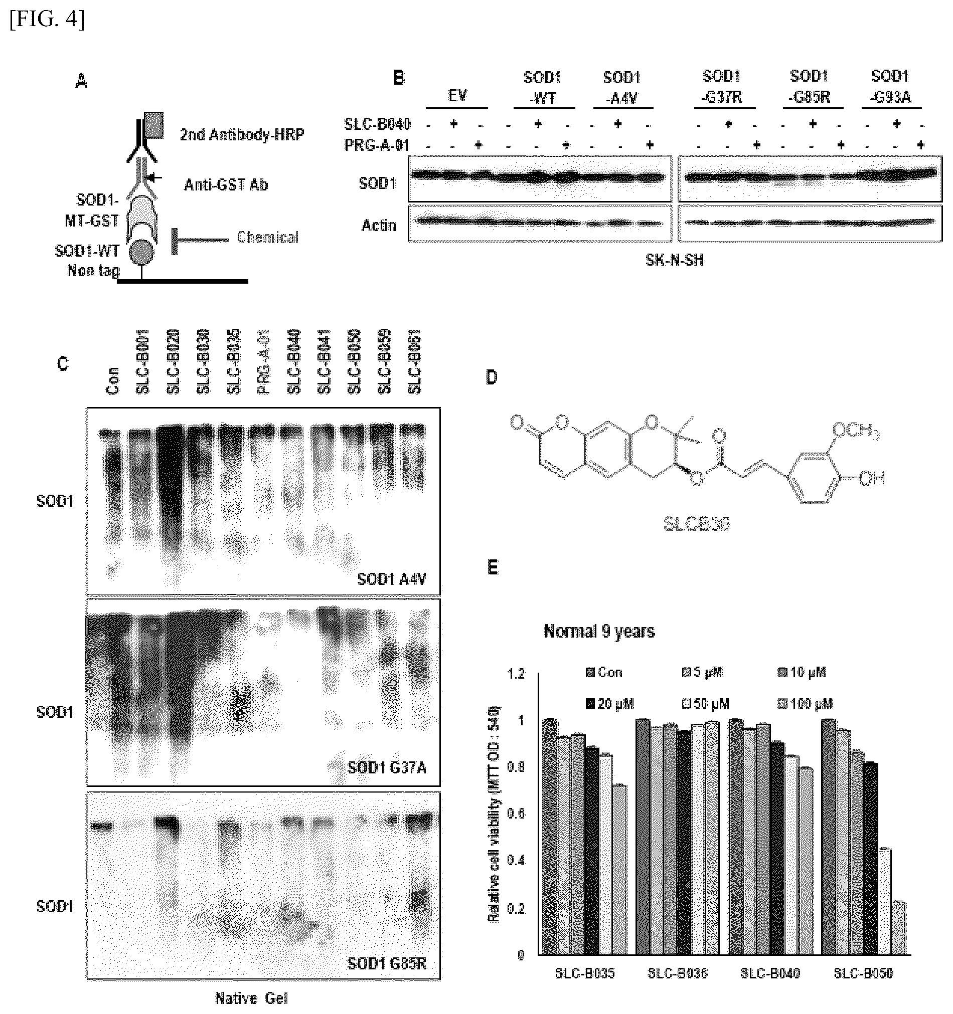 Patent US12448393 Figure 4 – Use of novel compound, for preventing, improving or treating amyotrophic lateral sclerosis