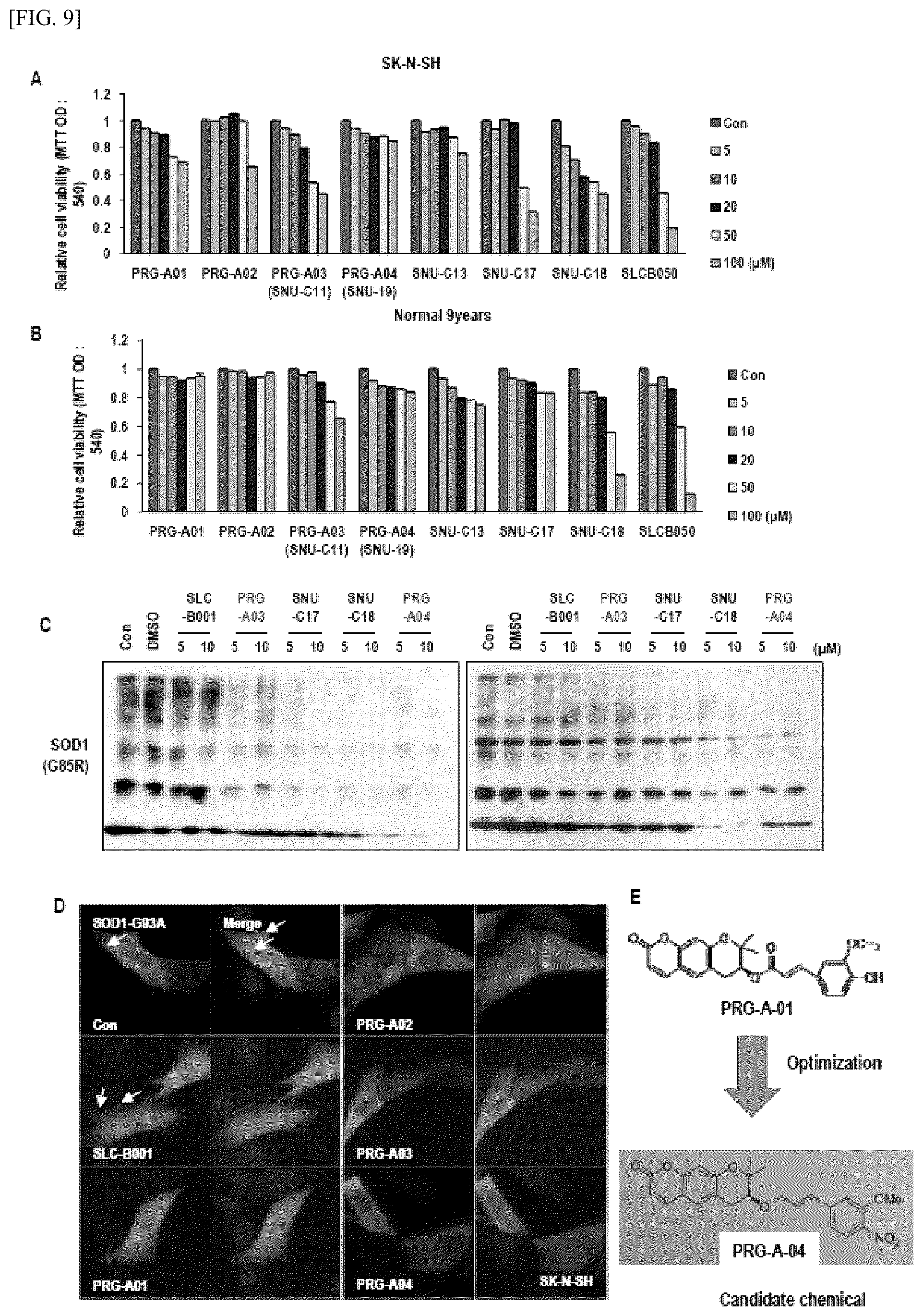Patent US12448393 Figure 9 – Use of novel compound, for preventing, improving or treating amyotrophic lateral sclerosis