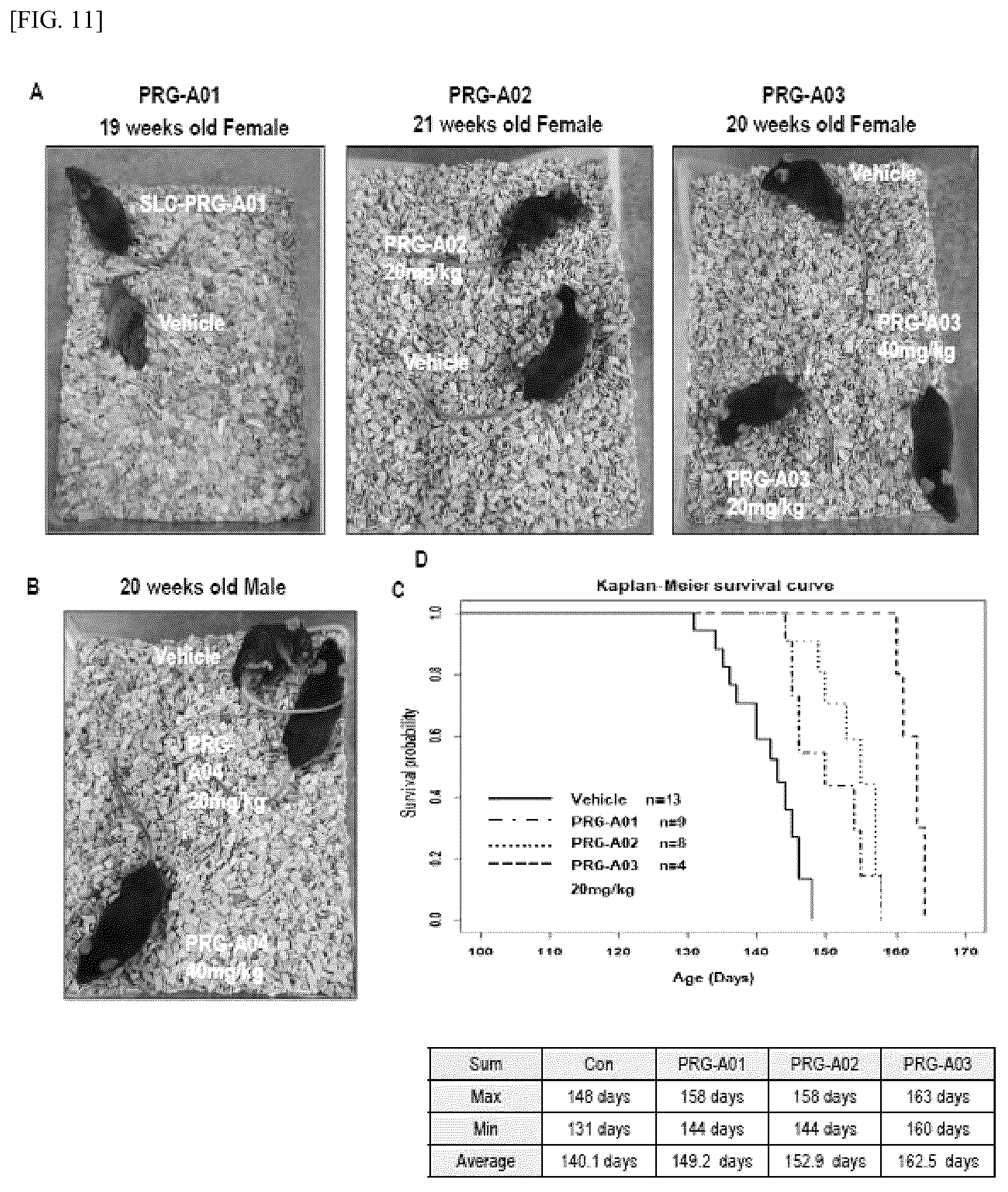 Patent US12448393 Figure 11 – Use of novel compound, for preventing, improving or treating amyotrophic lateral sclerosis