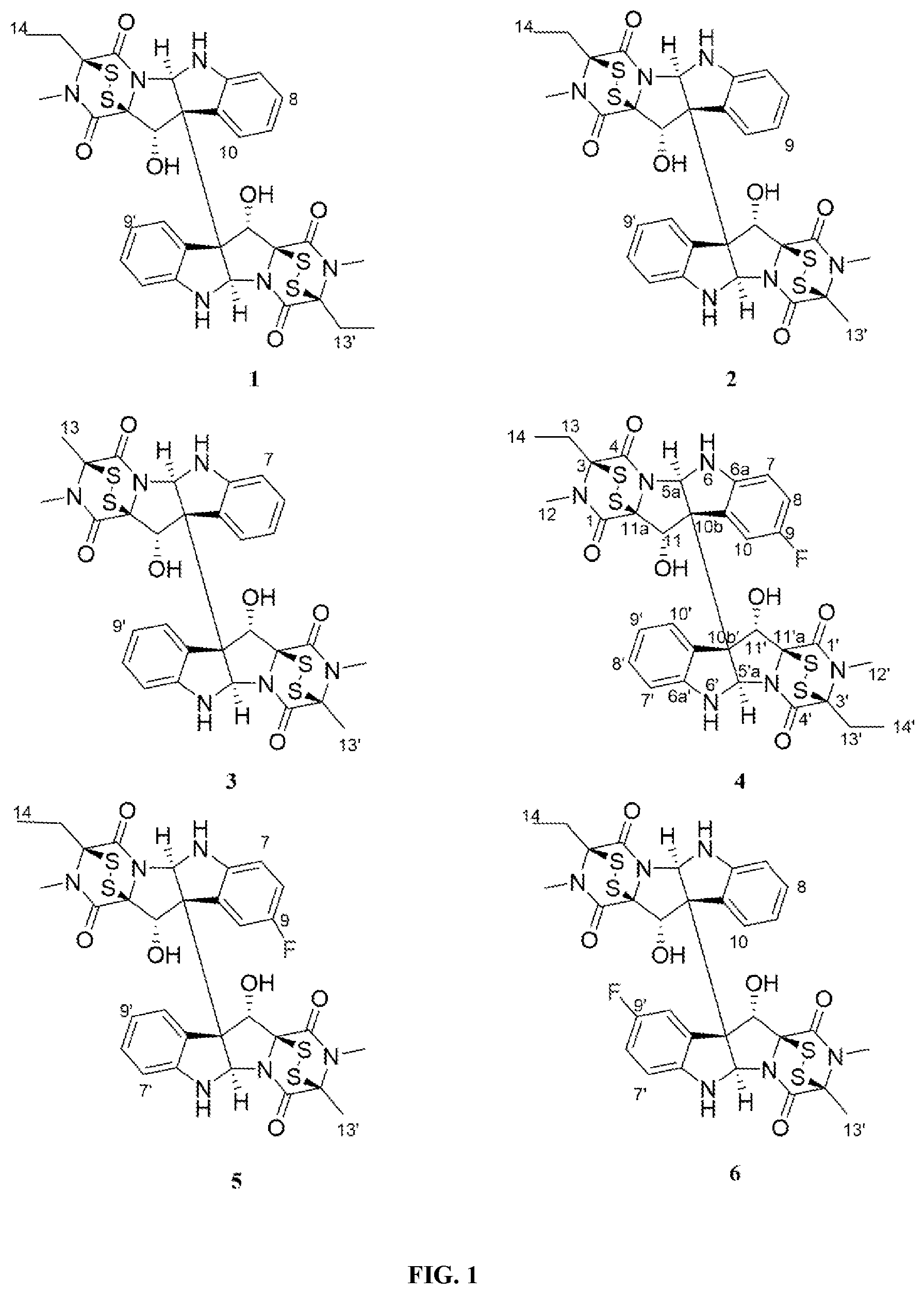 Patent US12448398 Figure 1 – Semi-synthetic analogues of epipolythiodioxopiperazine alkaloids