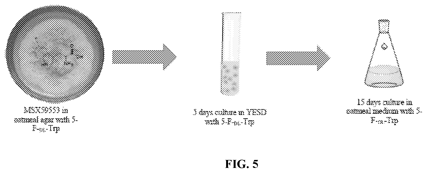 Patent US12448398 Figure 6 – Semi-synthetic analogues of epipolythiodioxopiperazine alkaloids