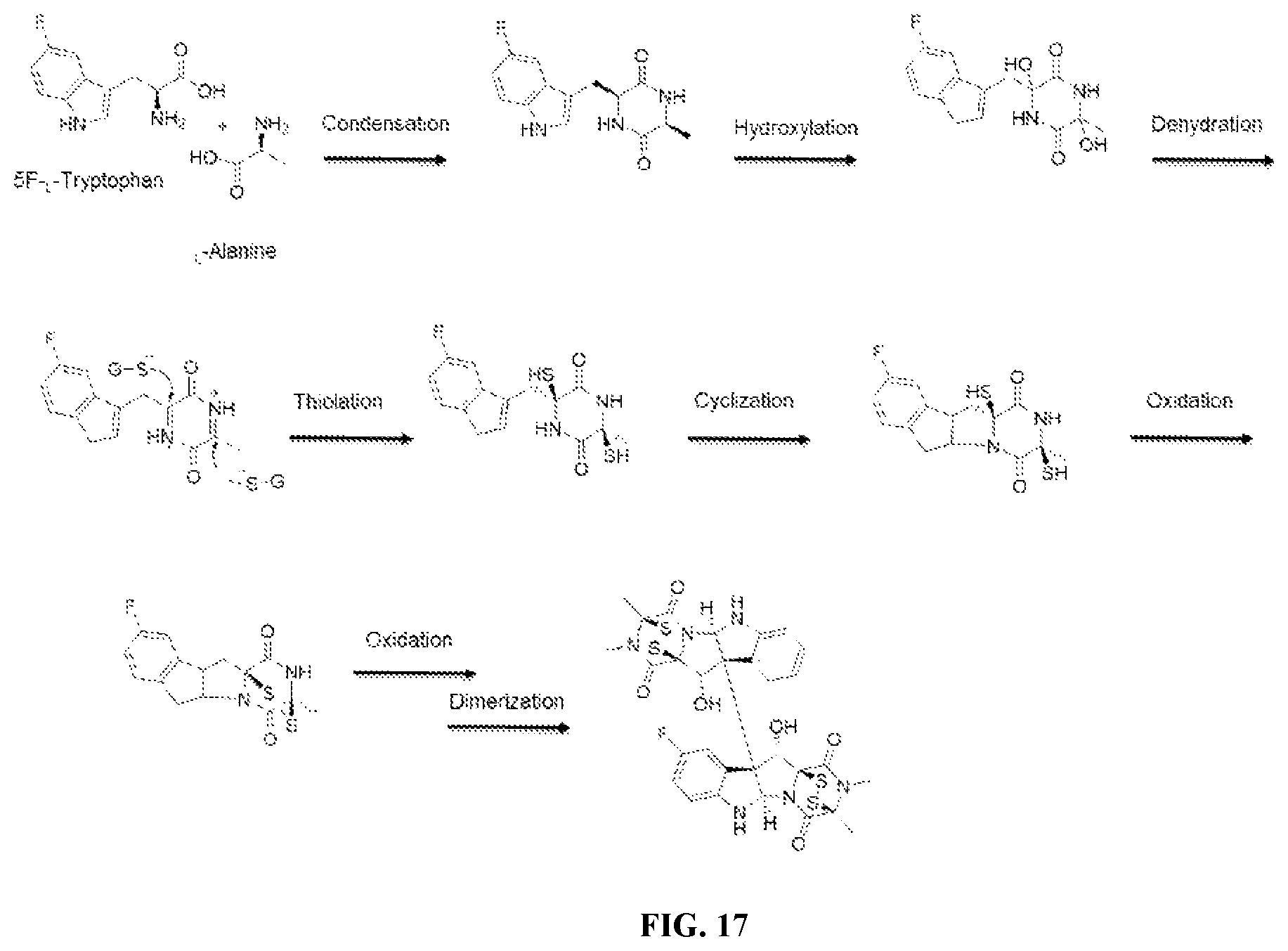 Patent US12448398 Figure 18 – Semi-synthetic analogues of epipolythiodioxopiperazine alkaloids