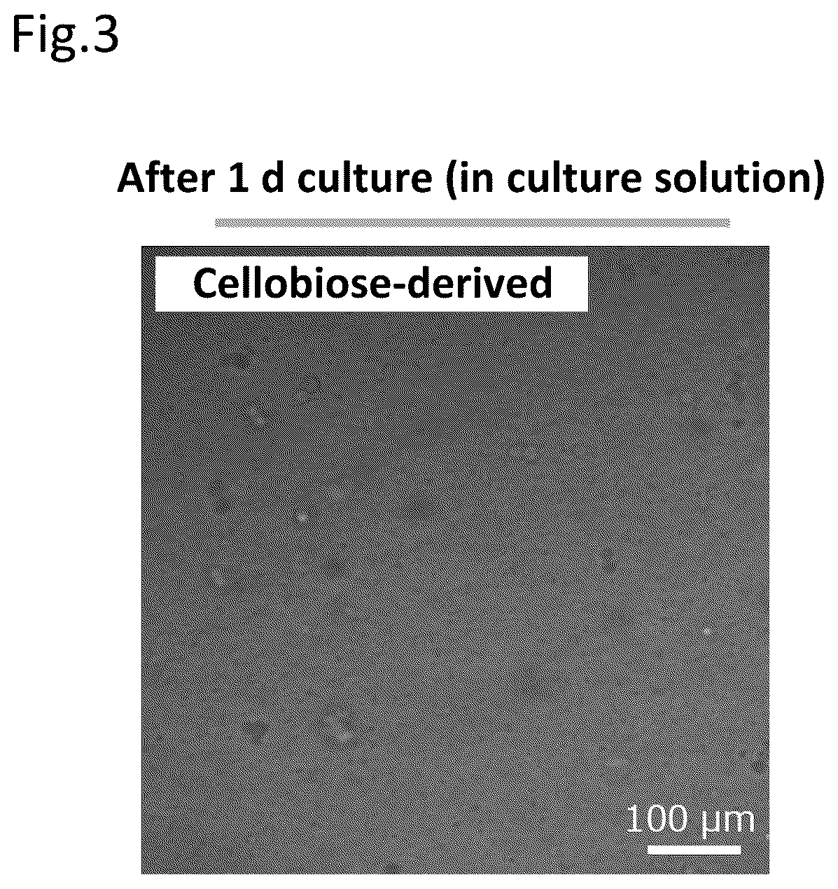 Patent US12448407 Figure 3 – Medium additive for suspension culture, medium composition and culture method