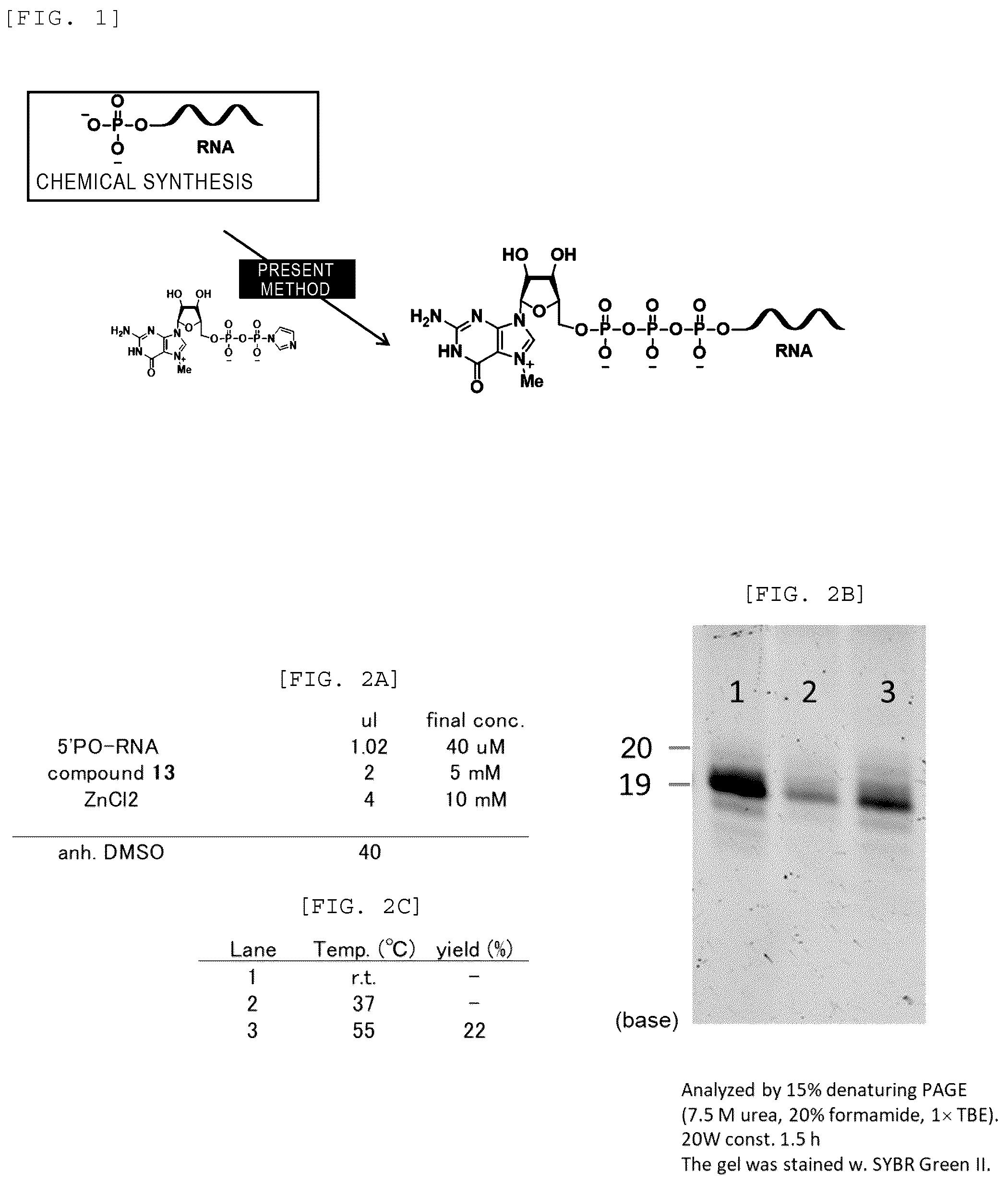 Patent US12448408 — Method for producing capped RNA — Figure 1