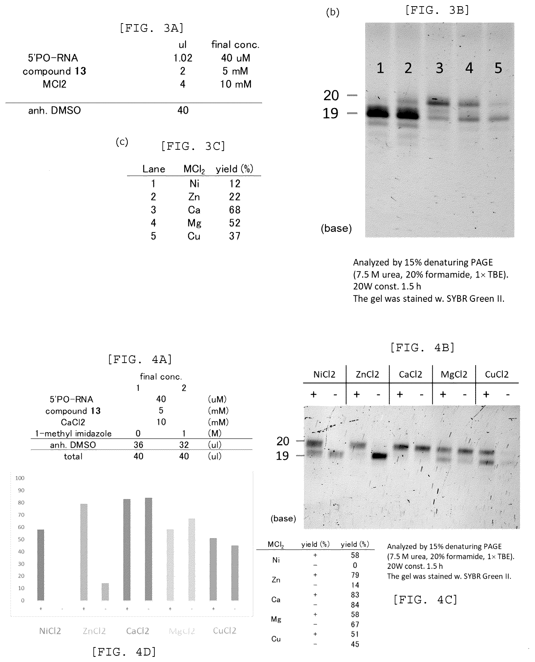Patent US12448408 Figure 2 – Method for producing capped RNA