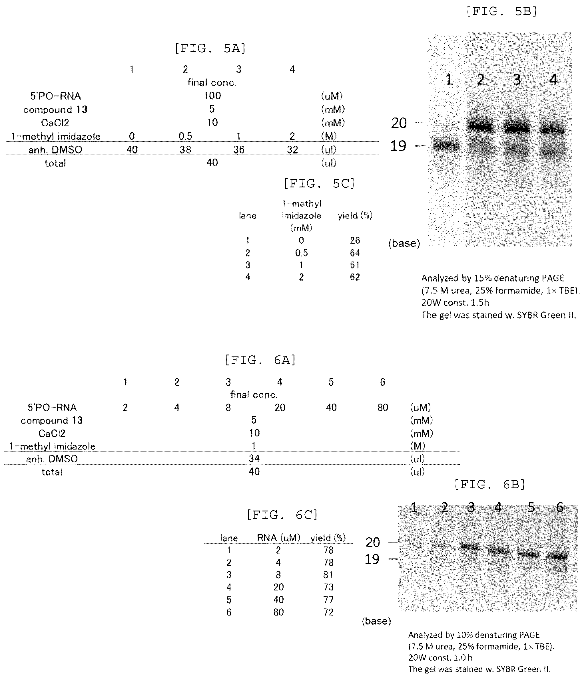 Patent US12448408 Figure 3 – Method for producing capped RNA