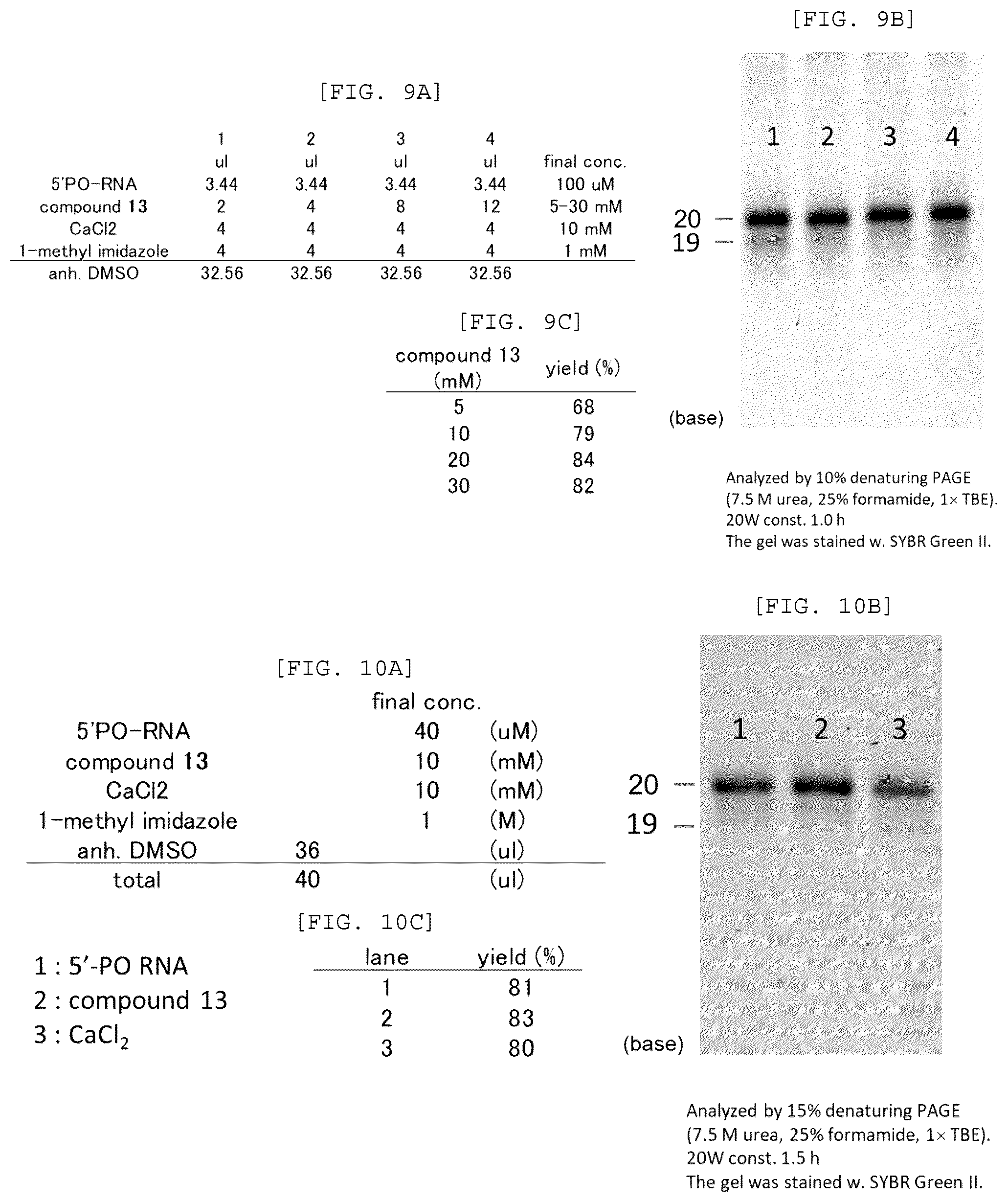 Patent US12448408 Figure 5 – Method for producing capped RNA