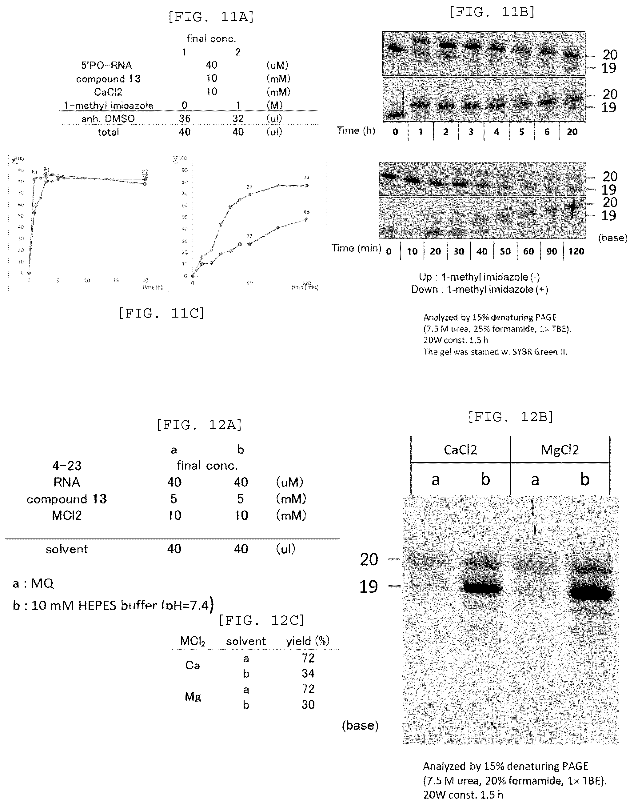 Patent US12448408 Figure 6 – Method for producing capped RNA