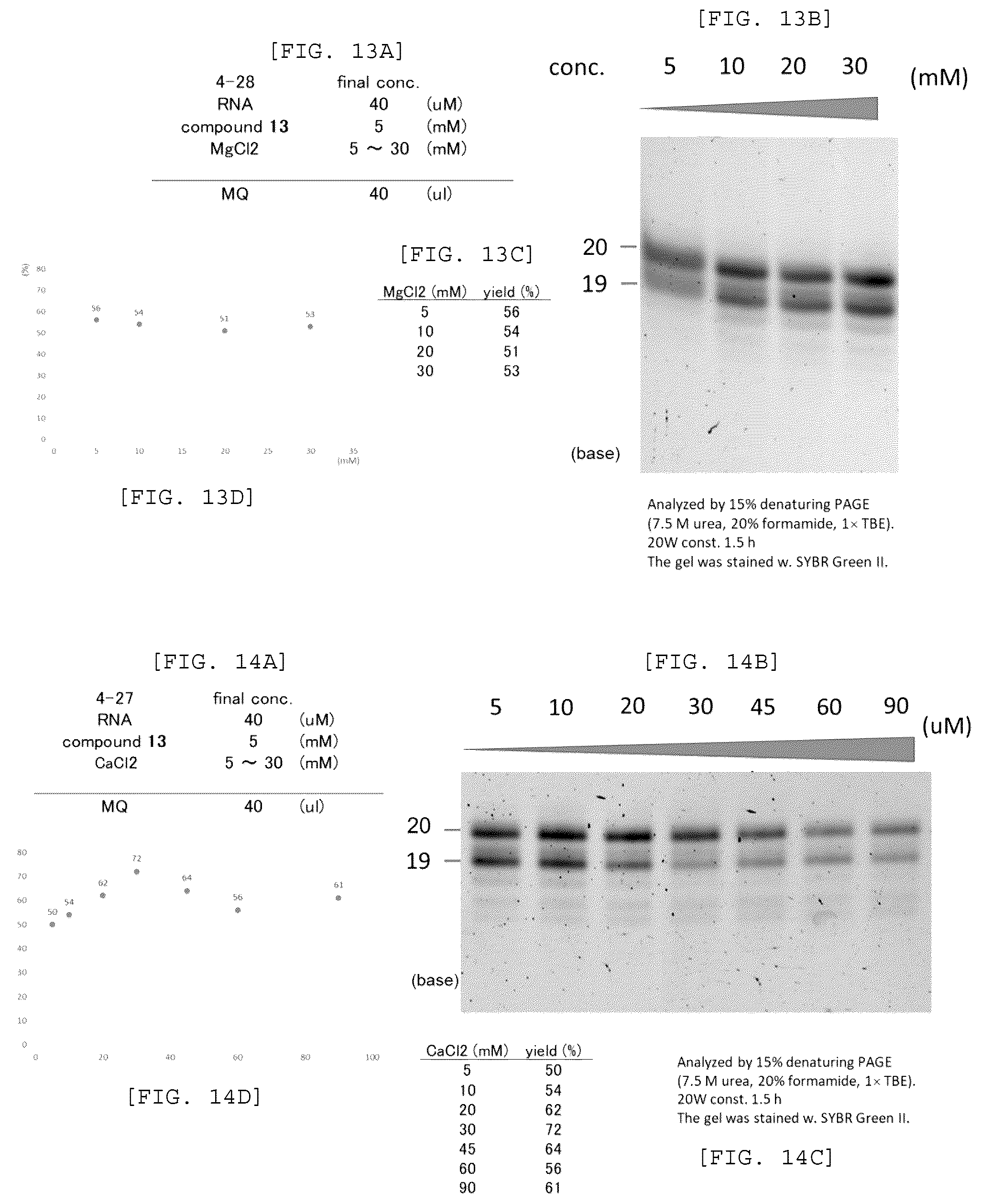 Patent US12448408 Figure 7 – Method for producing capped RNA