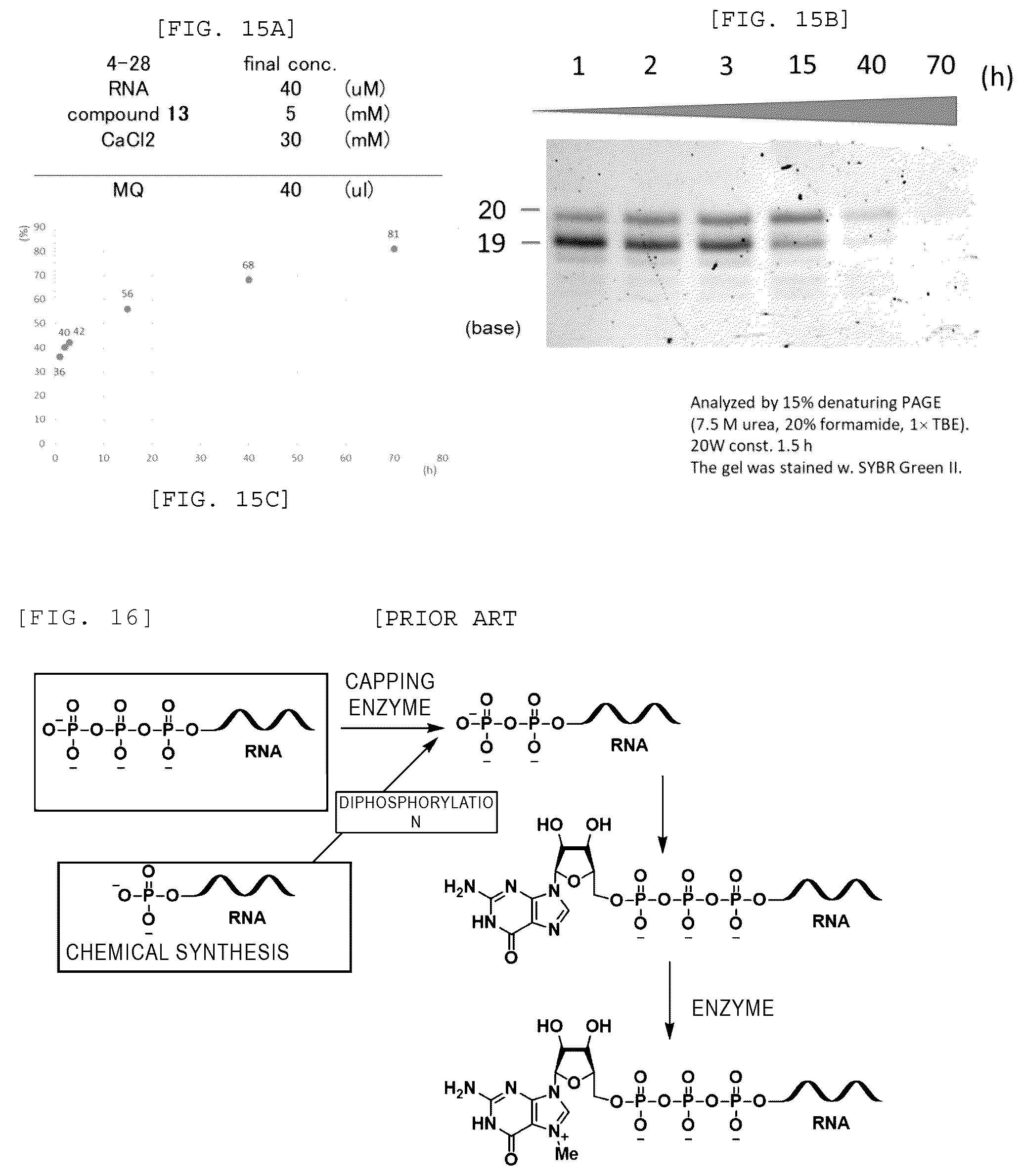 Patent US12448408 Figure 8 – Method for producing capped RNA