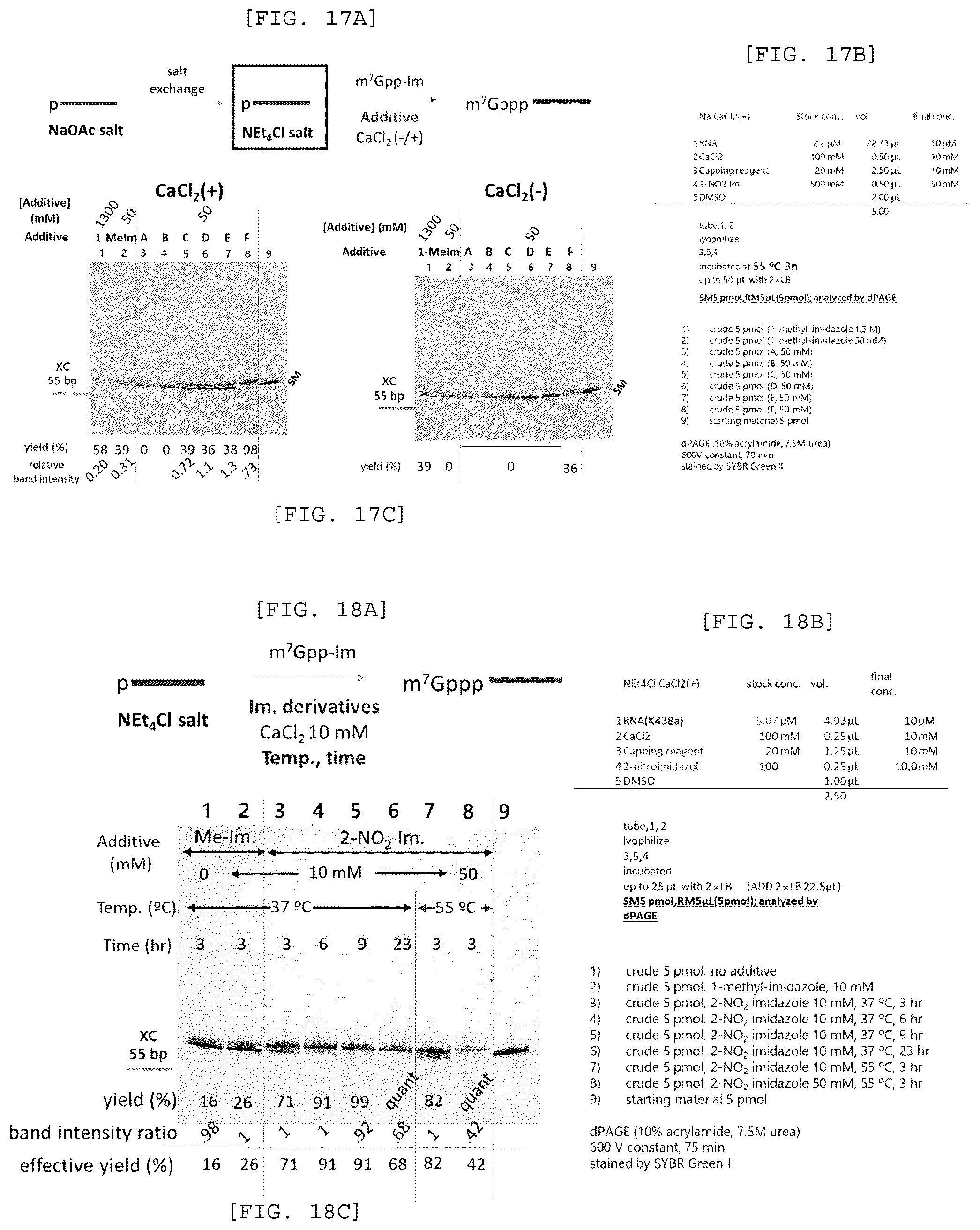 Patent US12448408 Figure 9 – Method for producing capped RNA