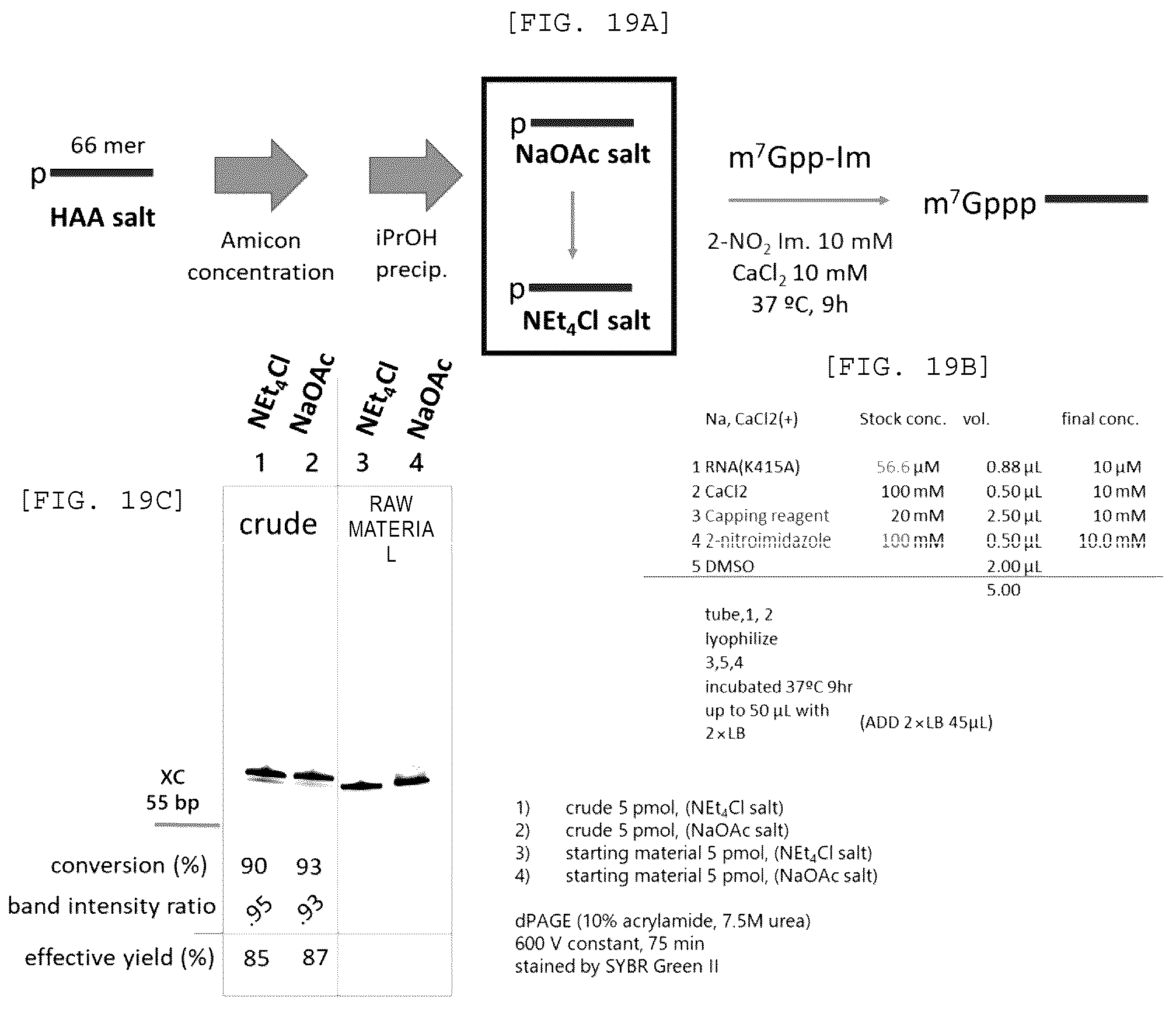 Patent US12448408 Figure 10 – Method for producing capped RNA