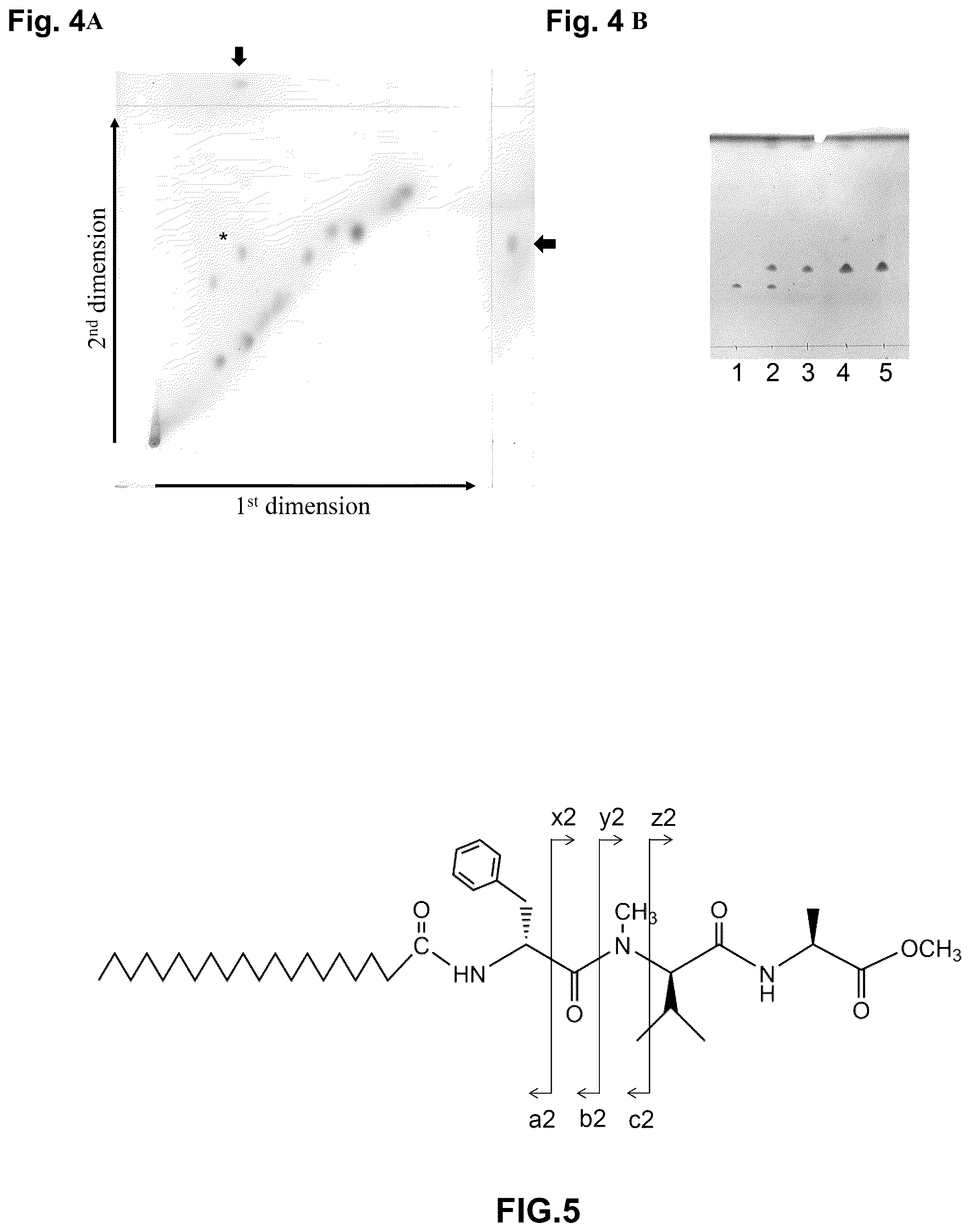 Patent US12448412 Figure 4 – Antigenic tripeptides derived from Mycobacterium avium subsp. paratuberculosis S-type strains, derivatives and uses thereof