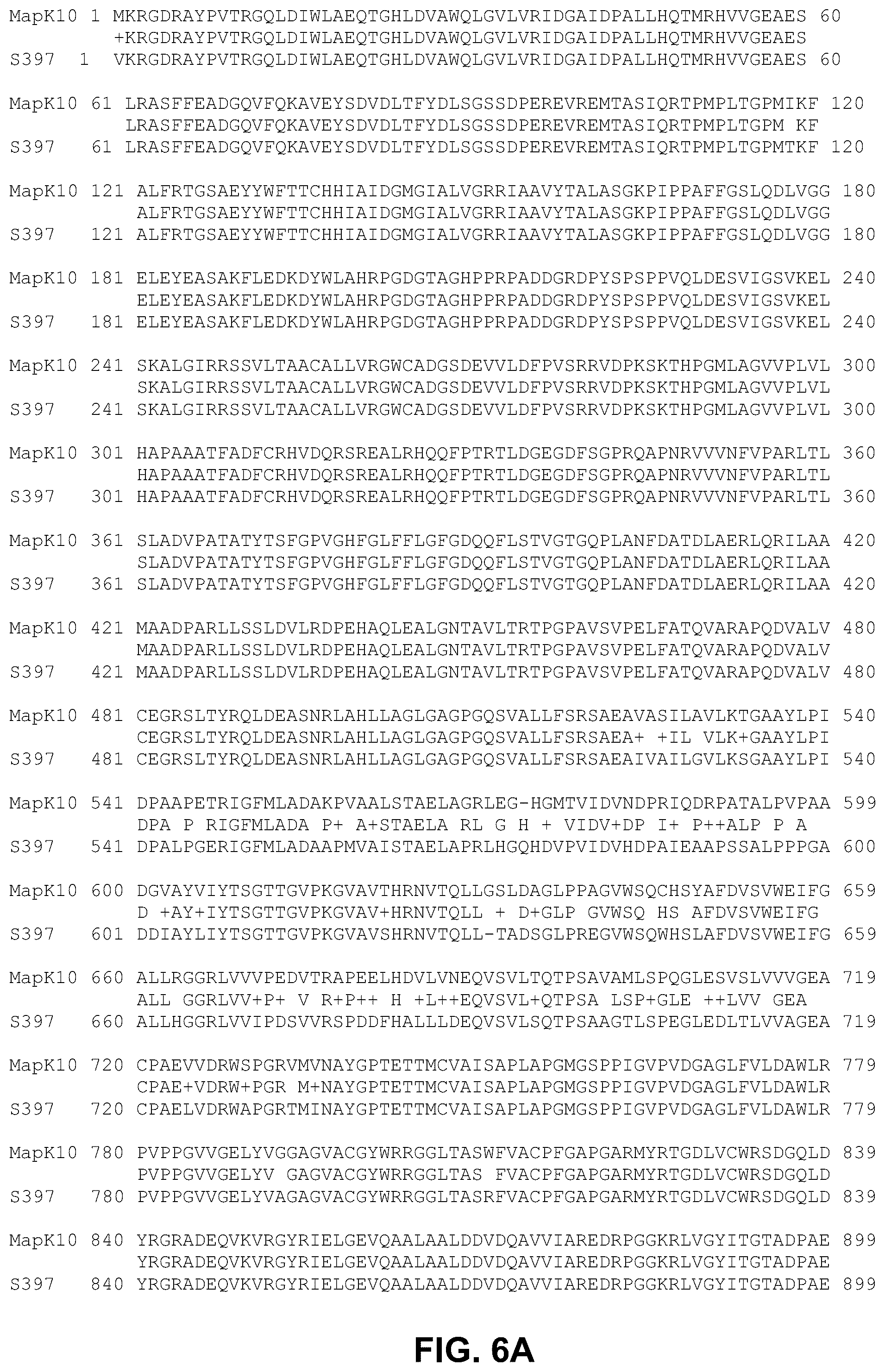 Patent US12448412 Figure 5 – Antigenic tripeptides derived from Mycobacterium avium subsp. paratuberculosis S-type strains, derivatives and uses thereof