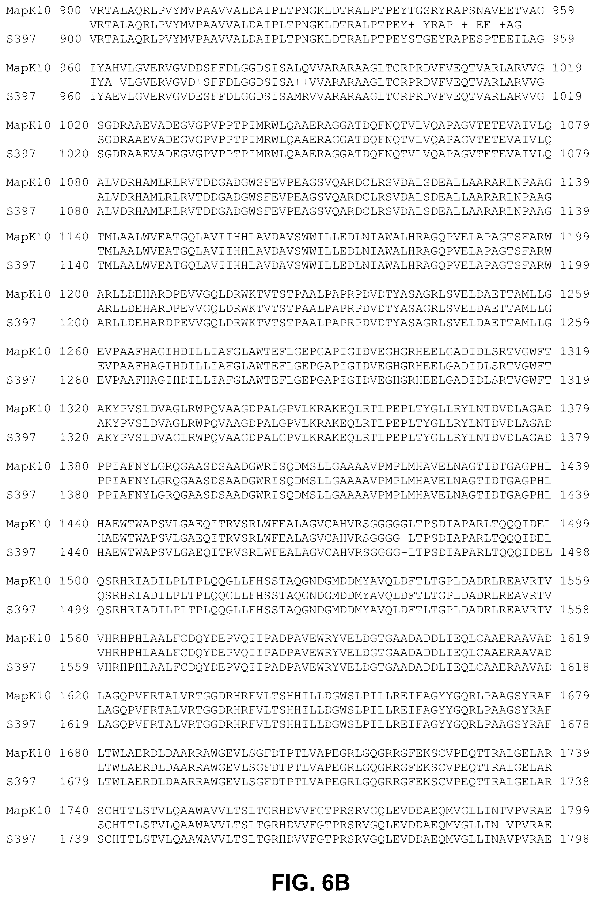 Patent US12448412 Figure 6 – Antigenic tripeptides derived from Mycobacterium avium subsp. paratuberculosis S-type strains, derivatives and uses thereof