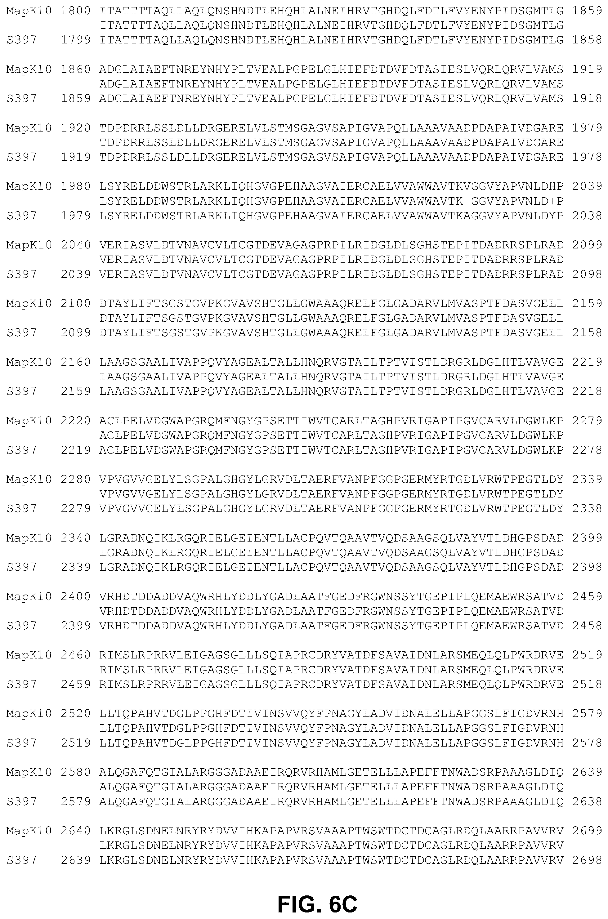 Patent US12448412 Figure 7 – Antigenic tripeptides derived from Mycobacterium avium subsp. paratuberculosis S-type strains, derivatives and uses thereof