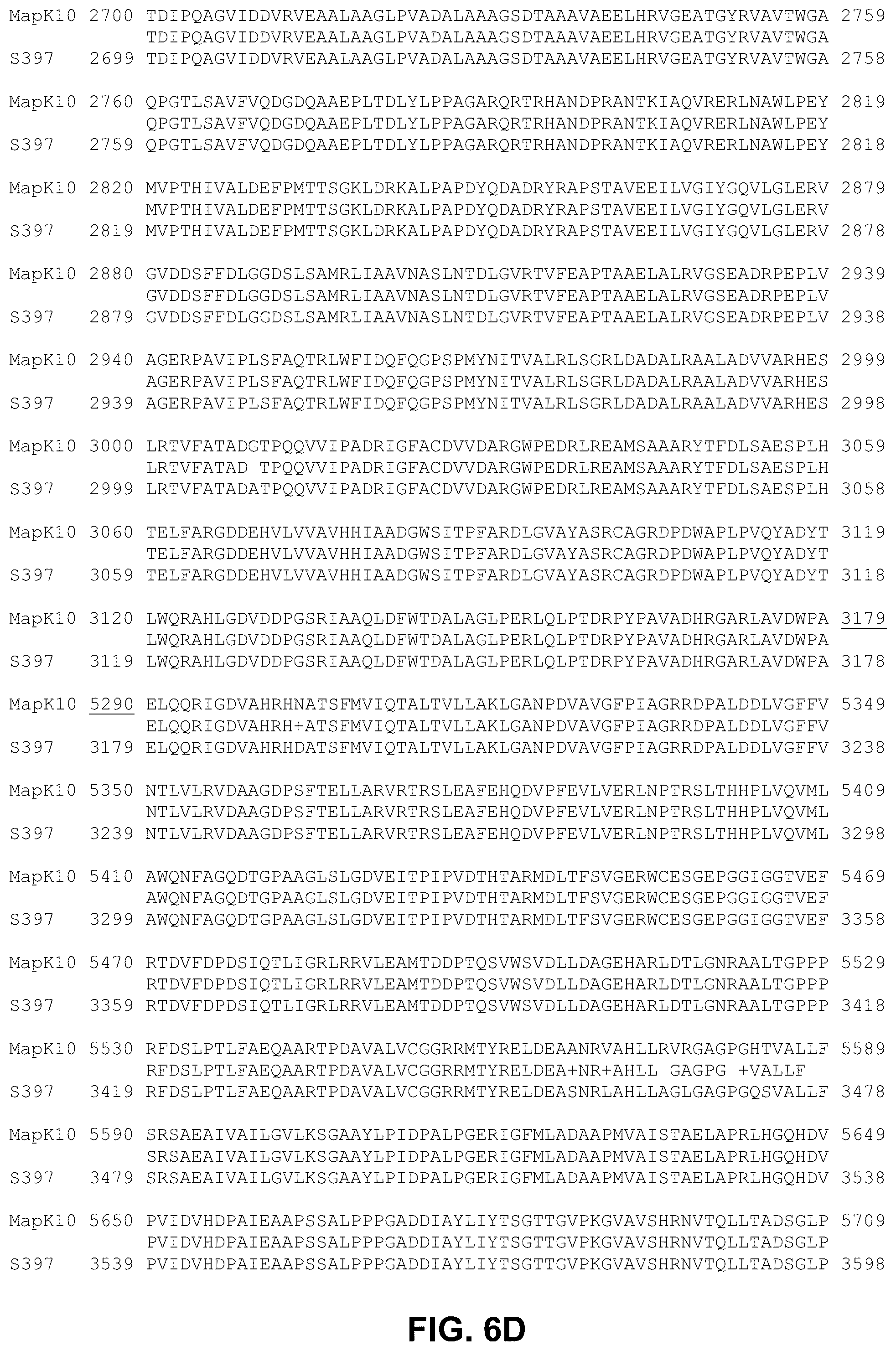 Patent US12448412 Figure 8 – Antigenic tripeptides derived from Mycobacterium avium subsp. paratuberculosis S-type strains, derivatives and uses thereof