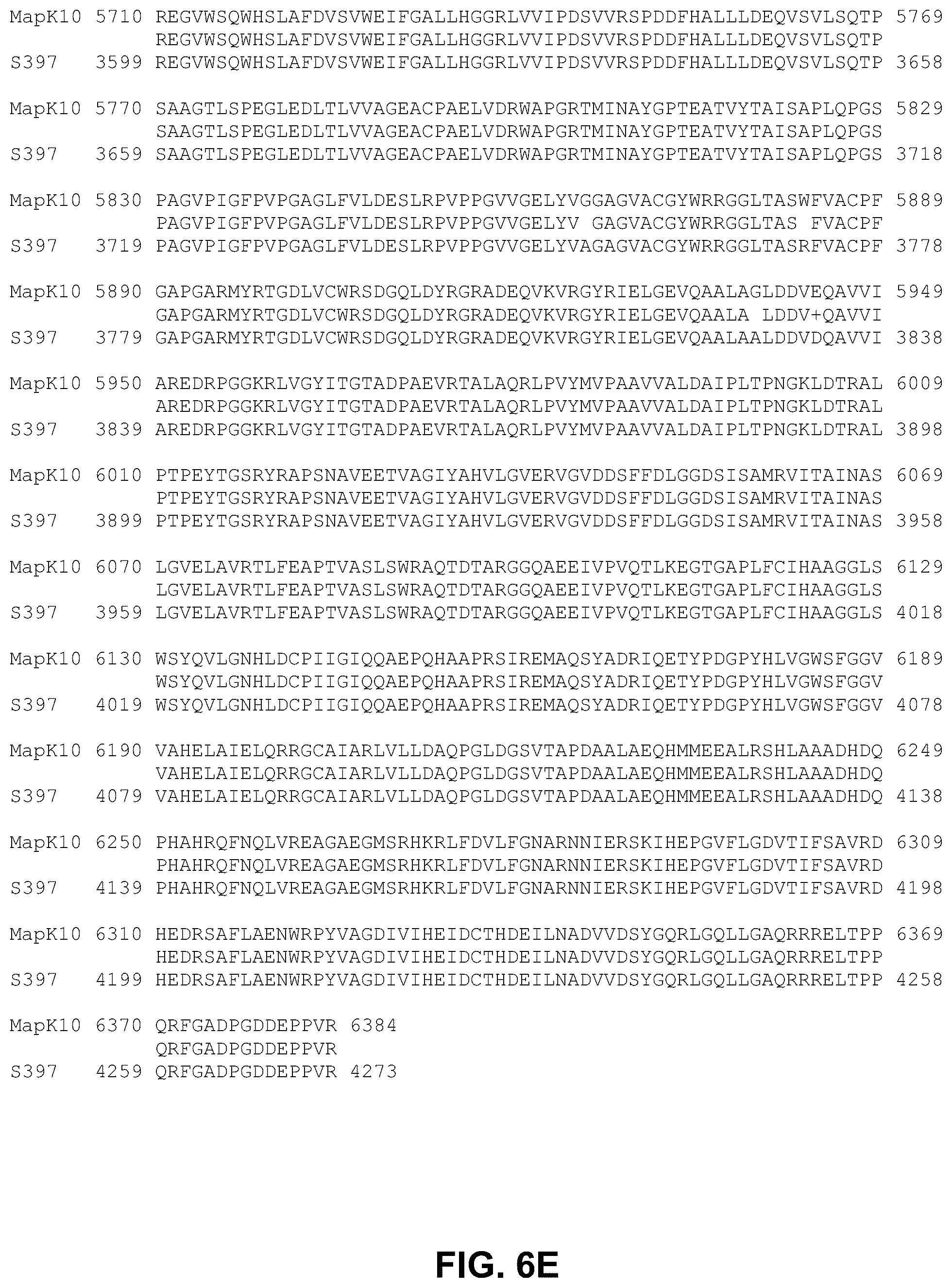 Patent US12448412 Figure 9 – Antigenic tripeptides derived from Mycobacterium avium subsp. paratuberculosis S-type strains, derivatives and uses thereof