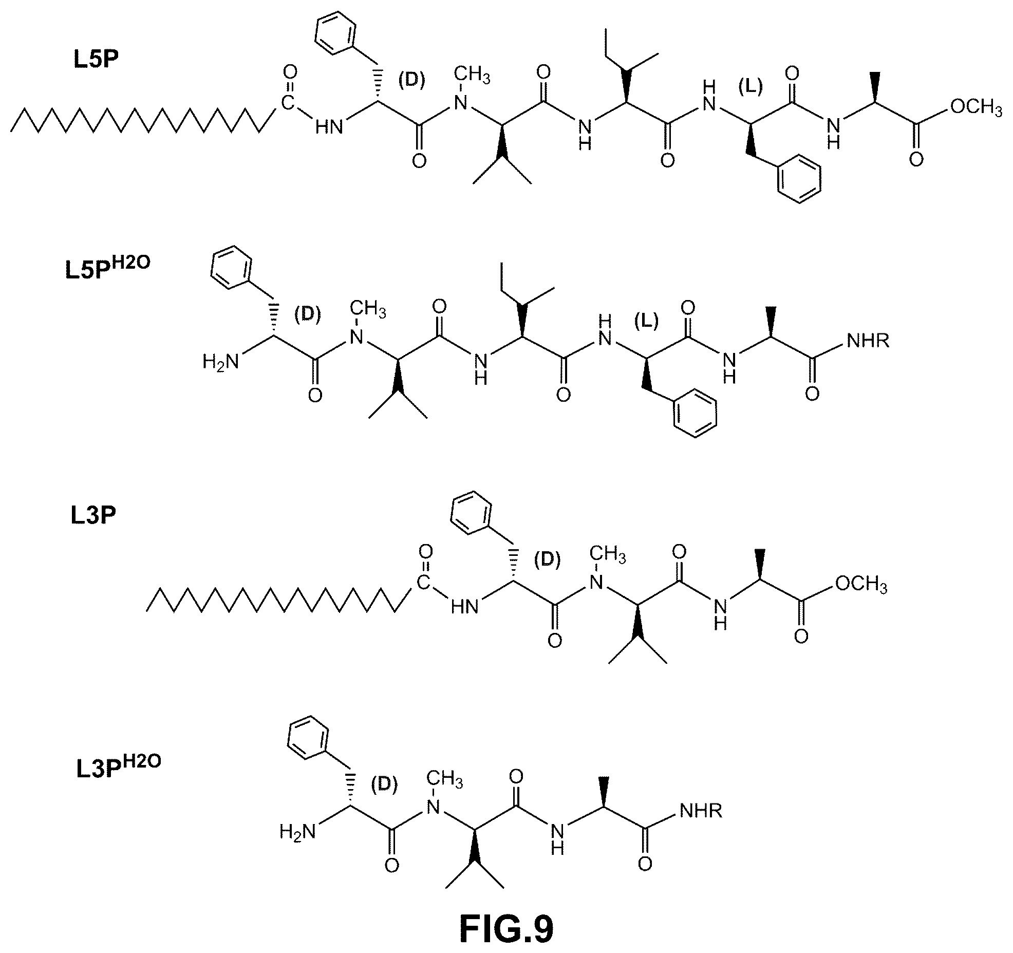 Patent US12448412 Figure 12 – Antigenic tripeptides derived from Mycobacterium avium subsp. paratuberculosis S-type strains, derivatives and uses thereof