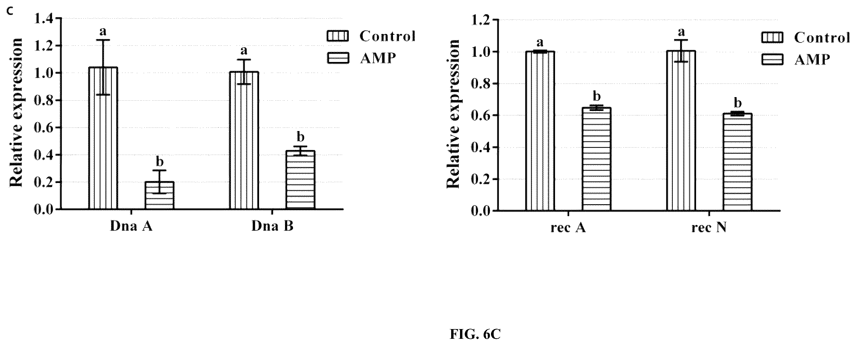 Patent US12448414 Figure 16 – Antimicrobial peptide (AMP) for controlling Pseudomonas syringae pv. actinidiae (PSA) and preparation method and use thereof