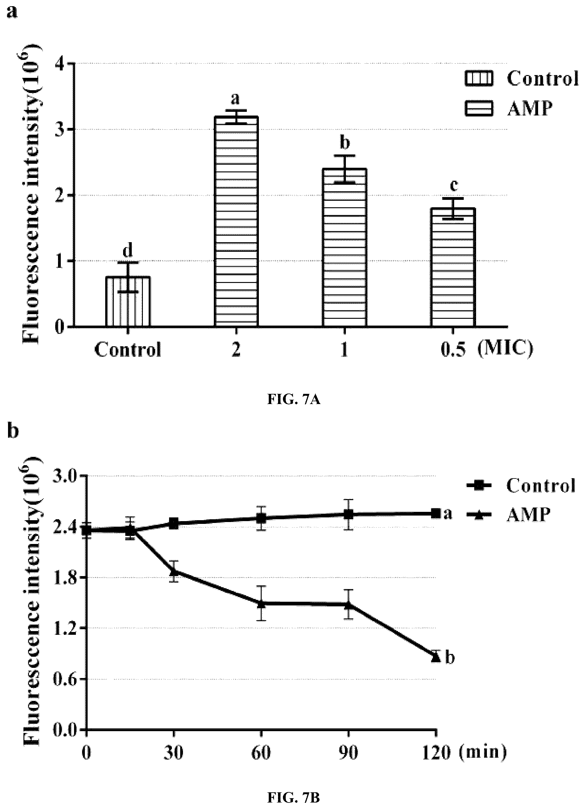 Patent US12448414 Figure 17 – Antimicrobial peptide (AMP) for controlling Pseudomonas syringae pv. actinidiae (PSA) and preparation method and use thereof