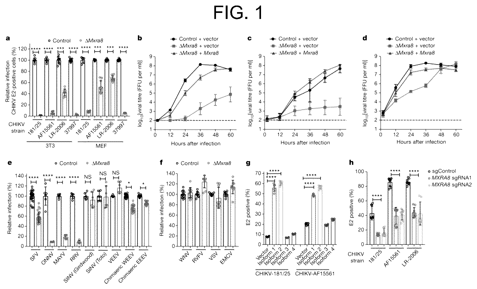 Patent US12448415 Figure 1 – Compositions and methods for inhibition of alphavirus infection