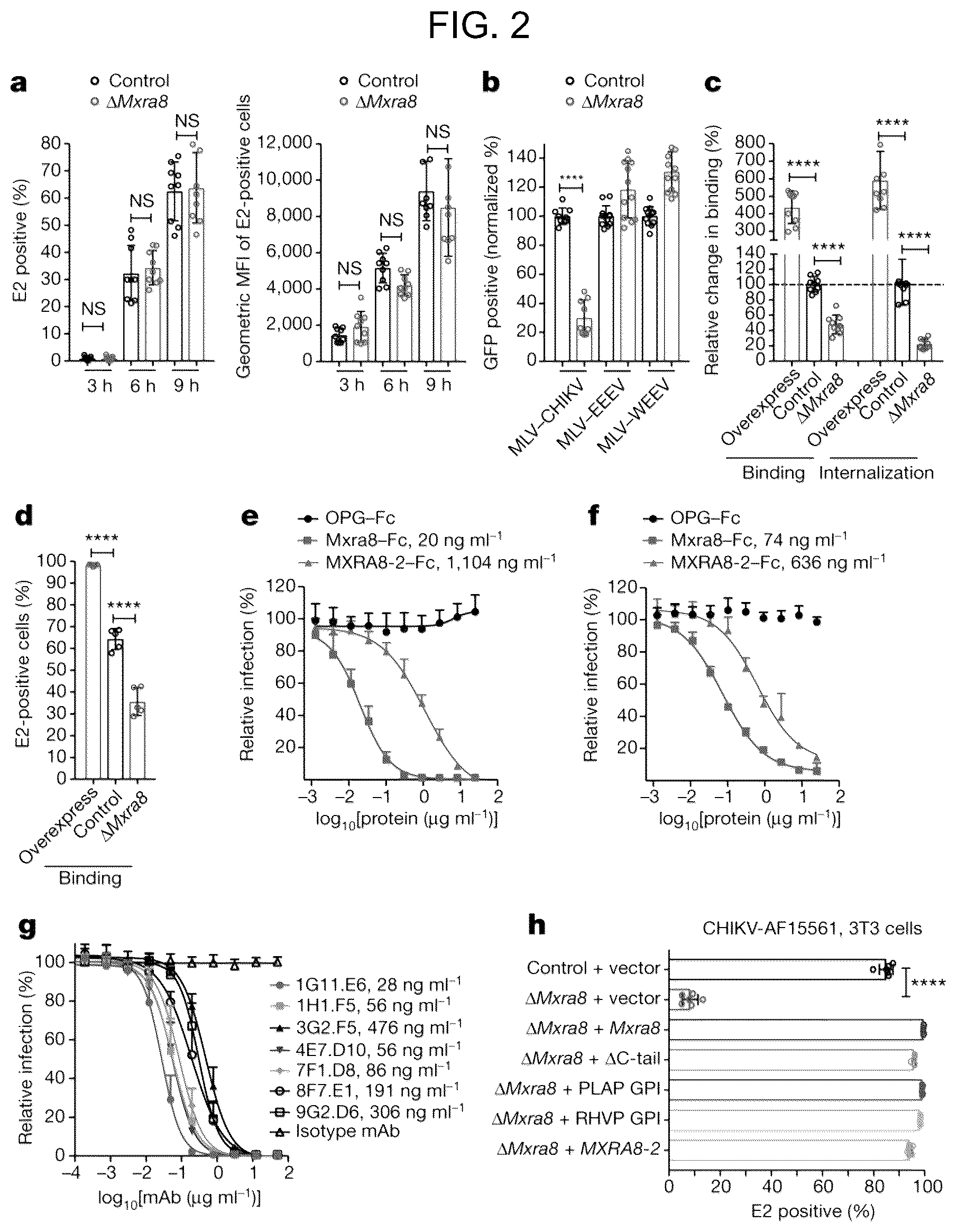 Patent US12448415 Figure 2 – Compositions and methods for inhibition of alphavirus infection
