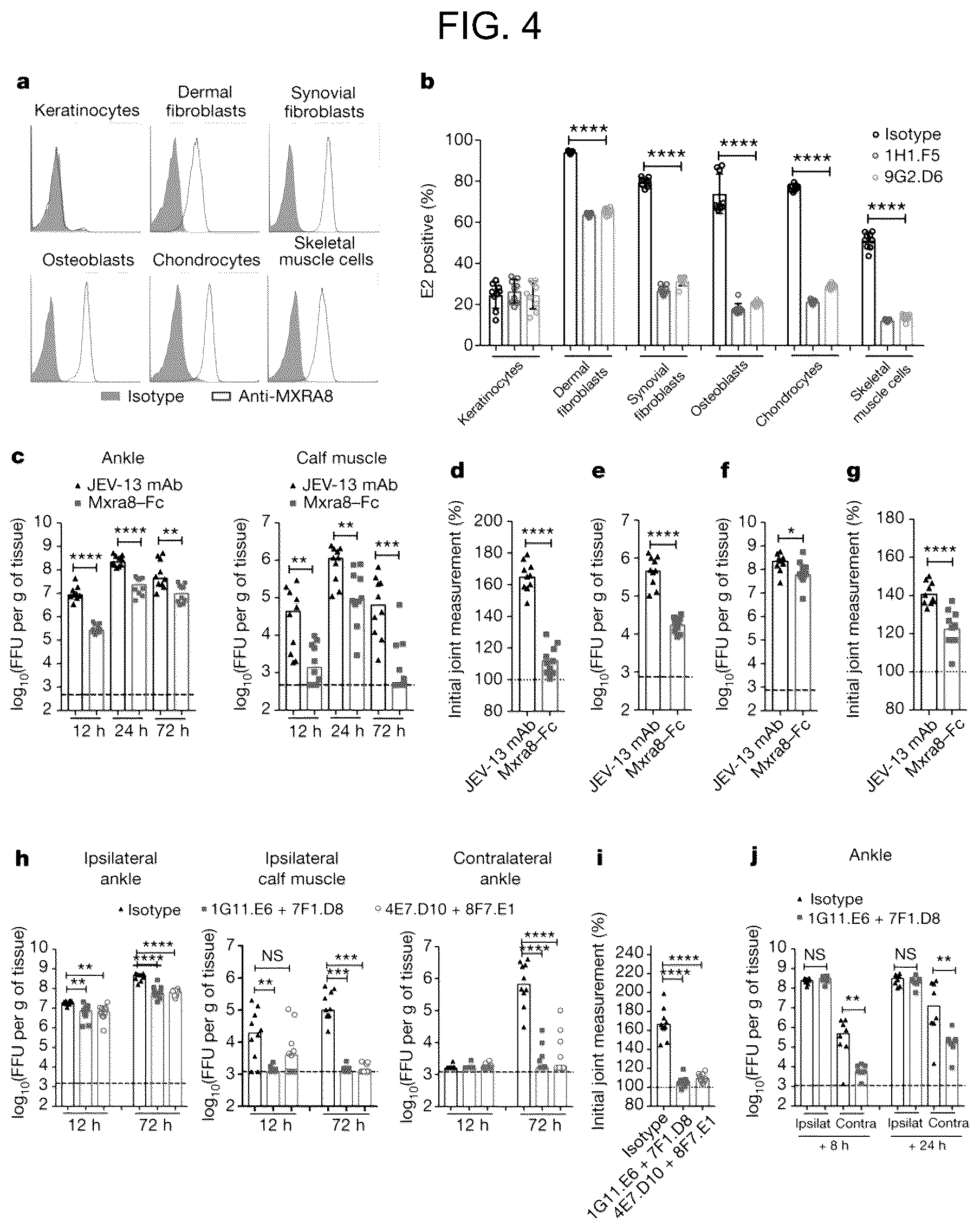 Patent US12448415 Figure 4 – Compositions and methods for inhibition of alphavirus infection