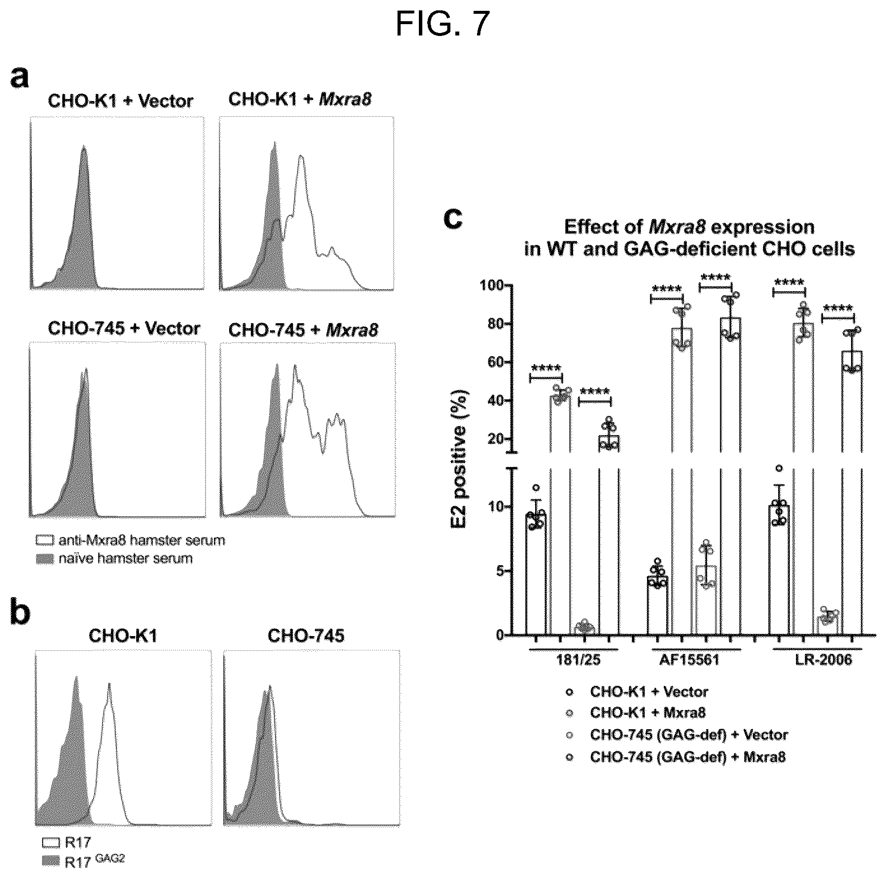 Patent US12448415 Figure 7 – Compositions and methods for inhibition of alphavirus infection