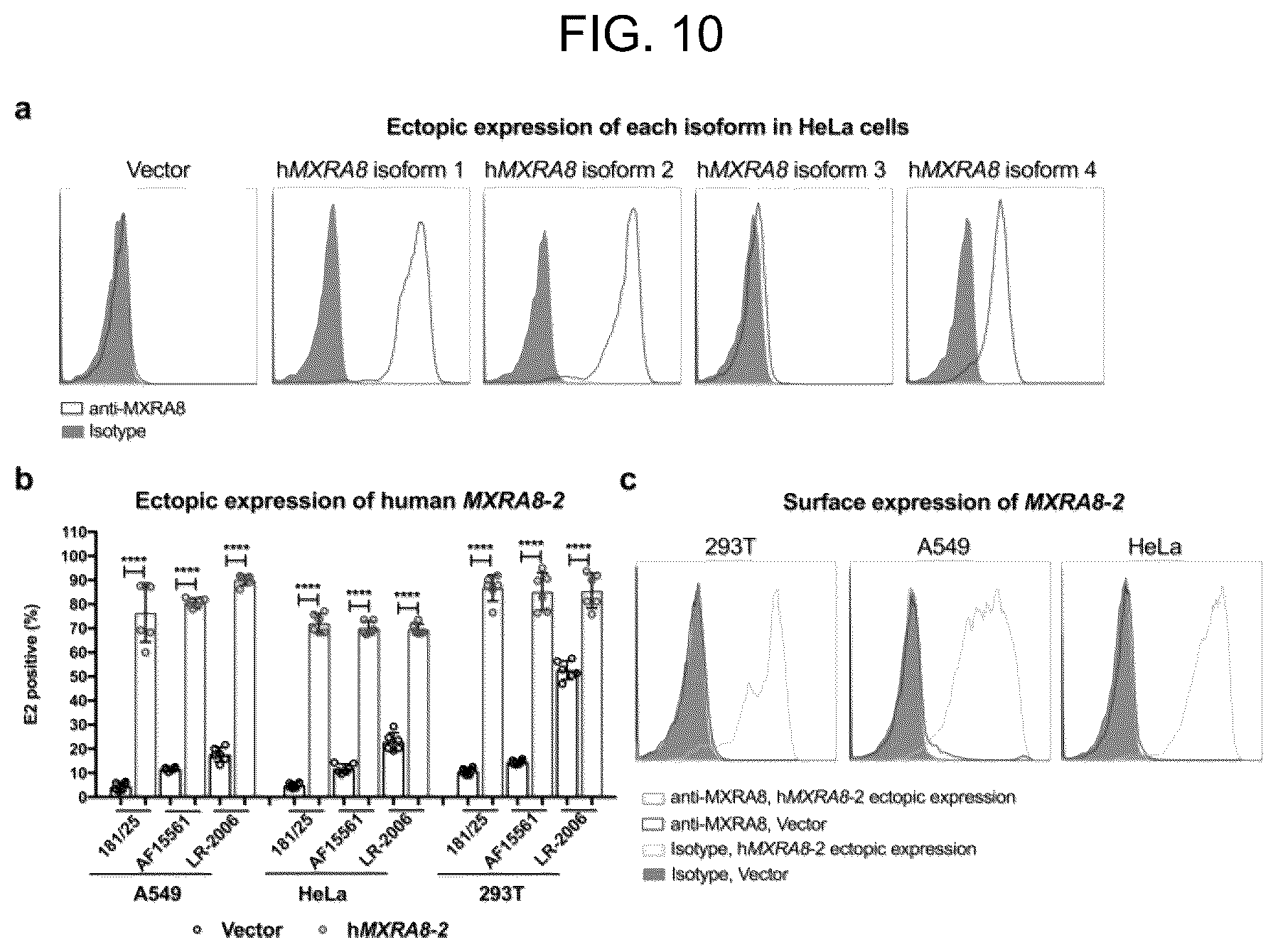 Patent US12448415 Figure 10 – Compositions and methods for inhibition of alphavirus infection