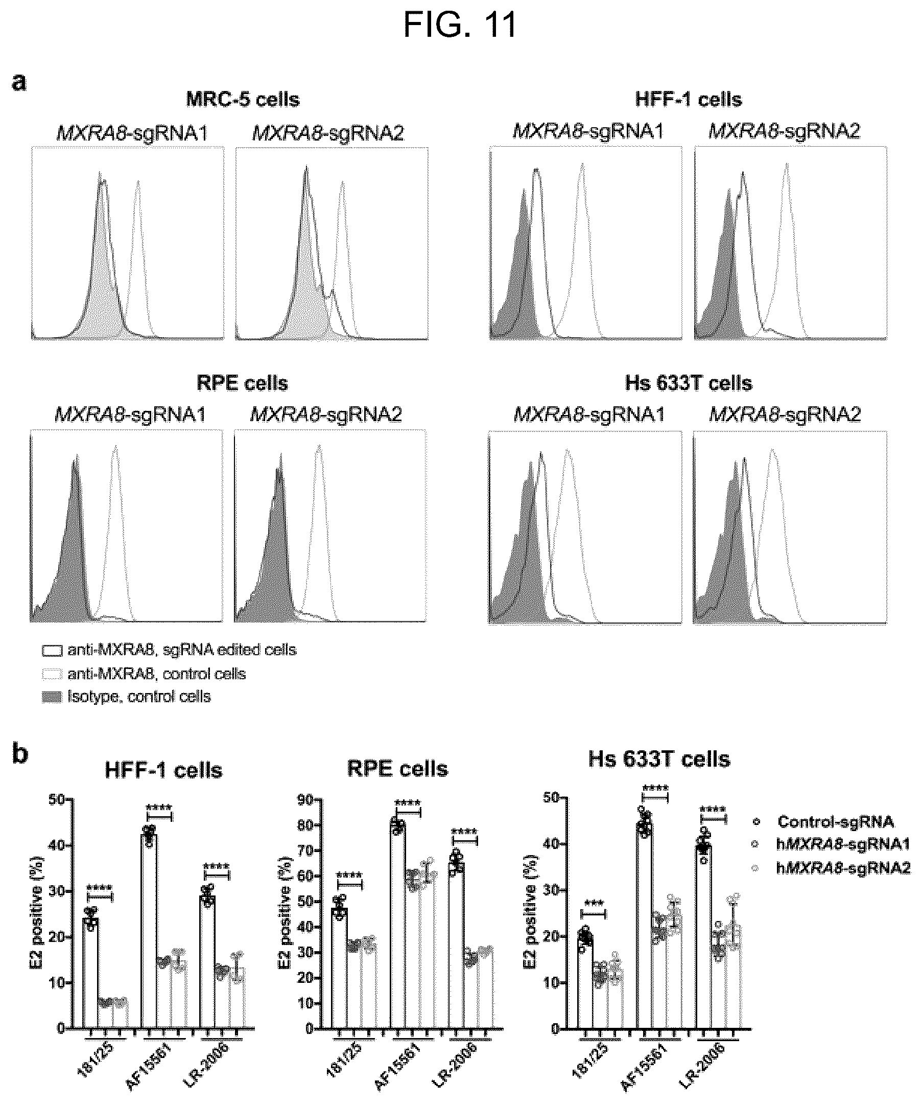 Patent US12448415 Figure 11 – Compositions and methods for inhibition of alphavirus infection