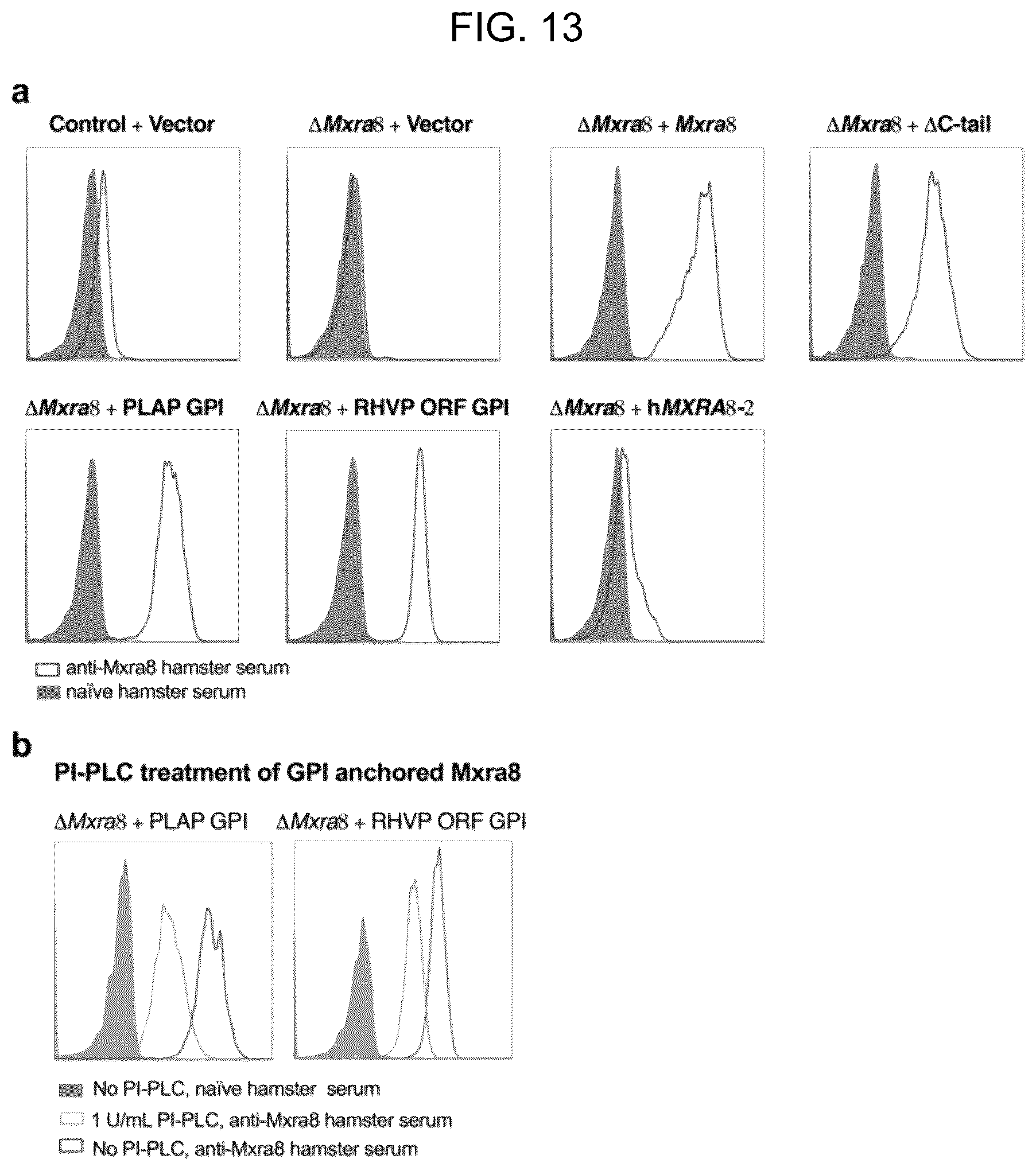 Patent US12448415 Figure 13 – Compositions and methods for inhibition of alphavirus infection